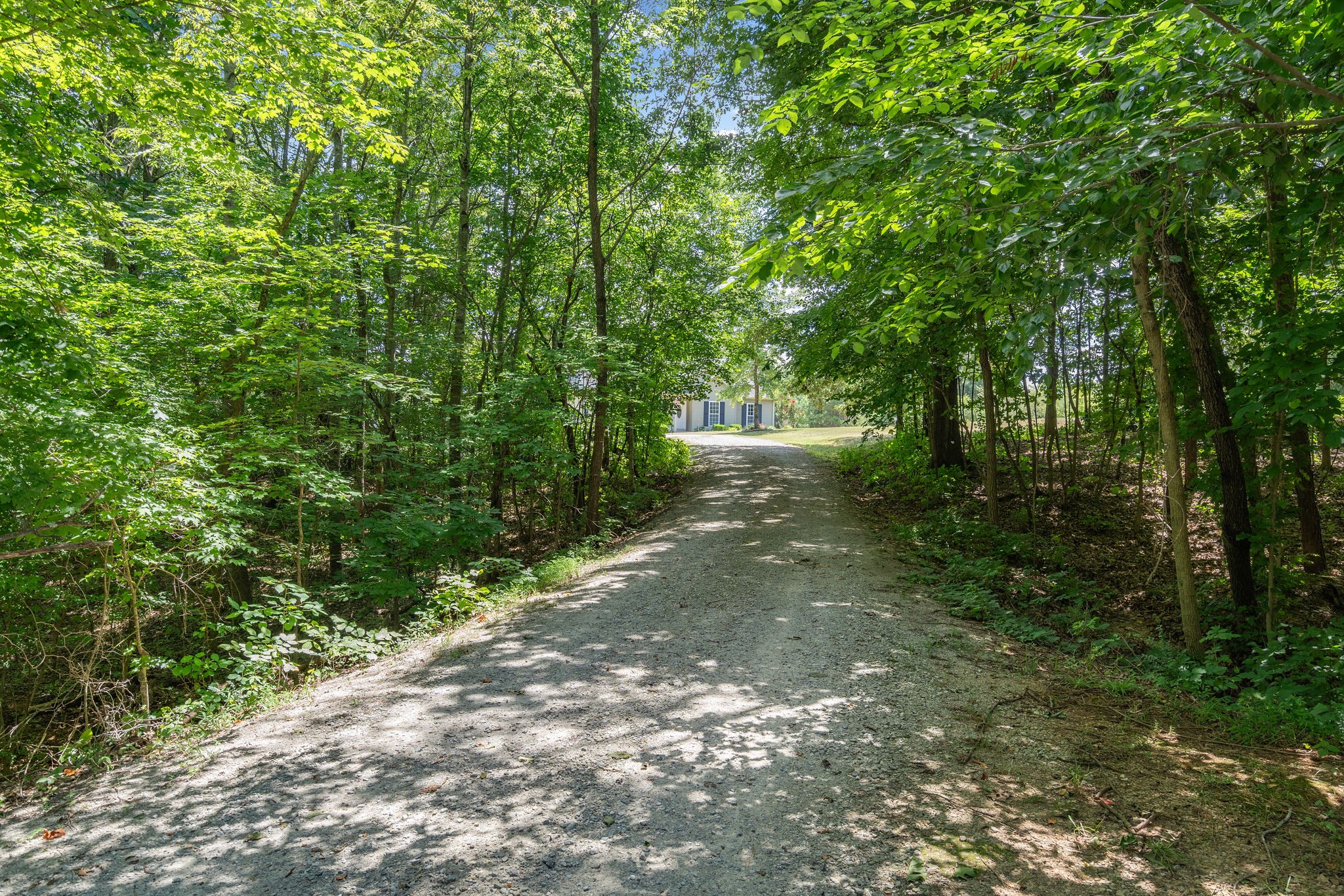 1328 Harmon Springs Rd