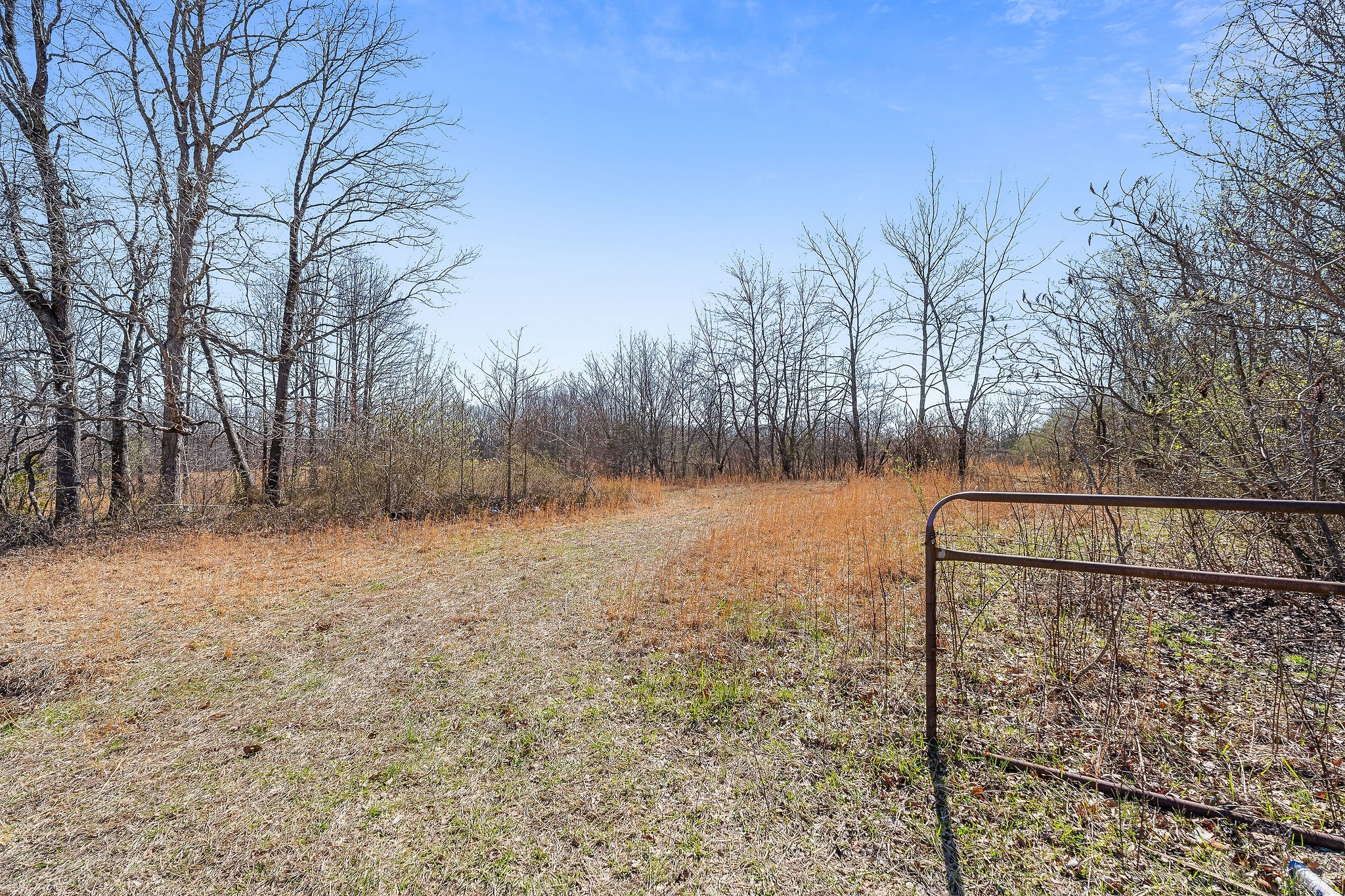 278 Firetower Rd
