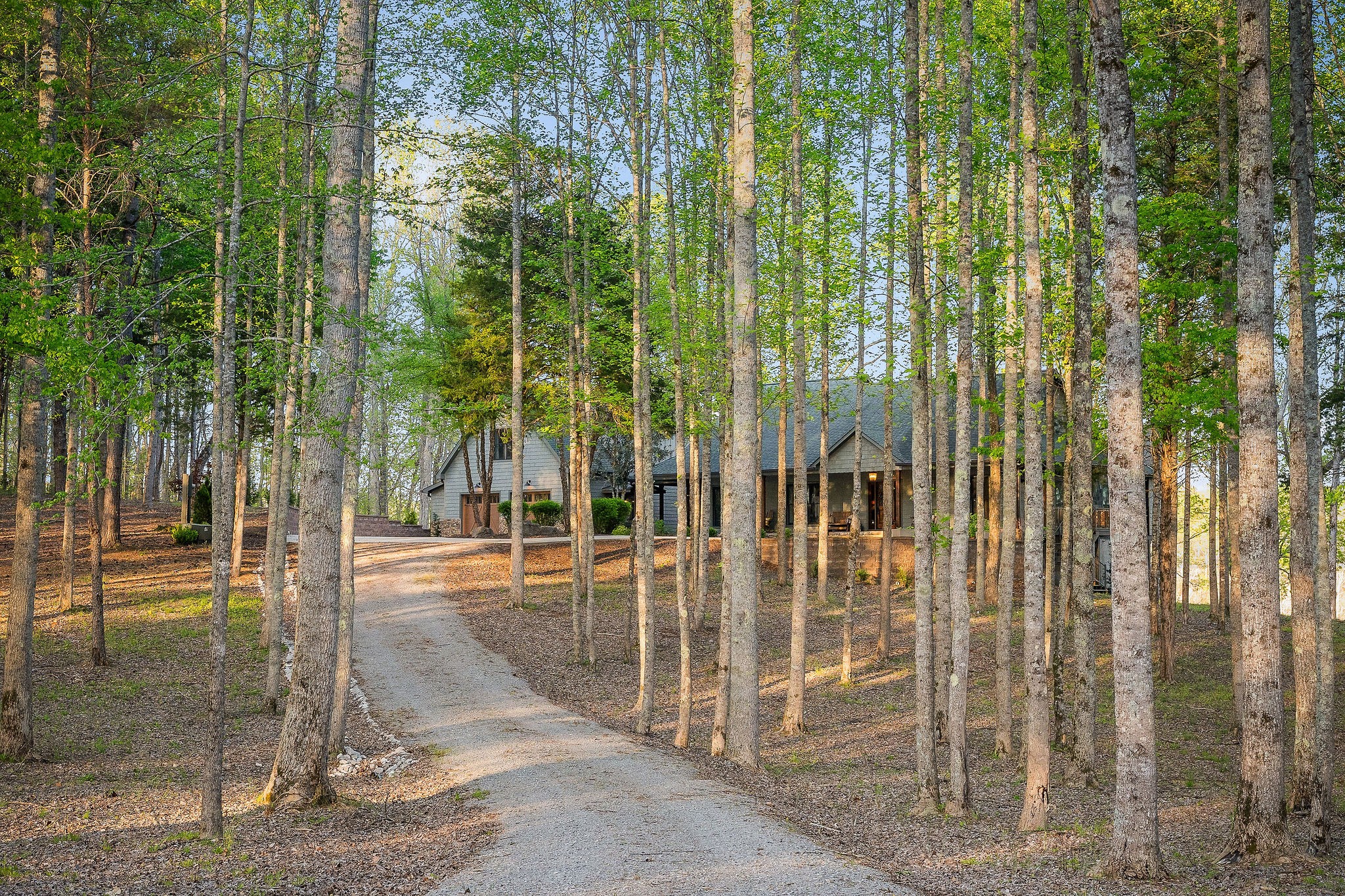 685 Young Green Rd