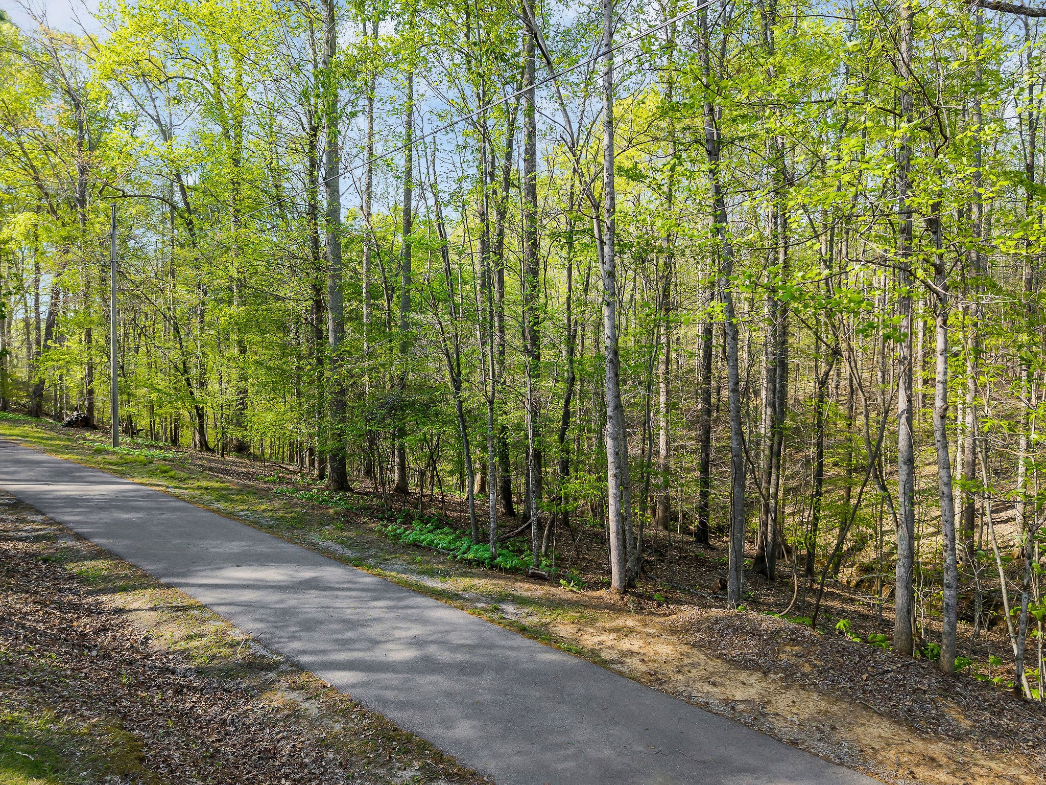 685 Young Green Rd