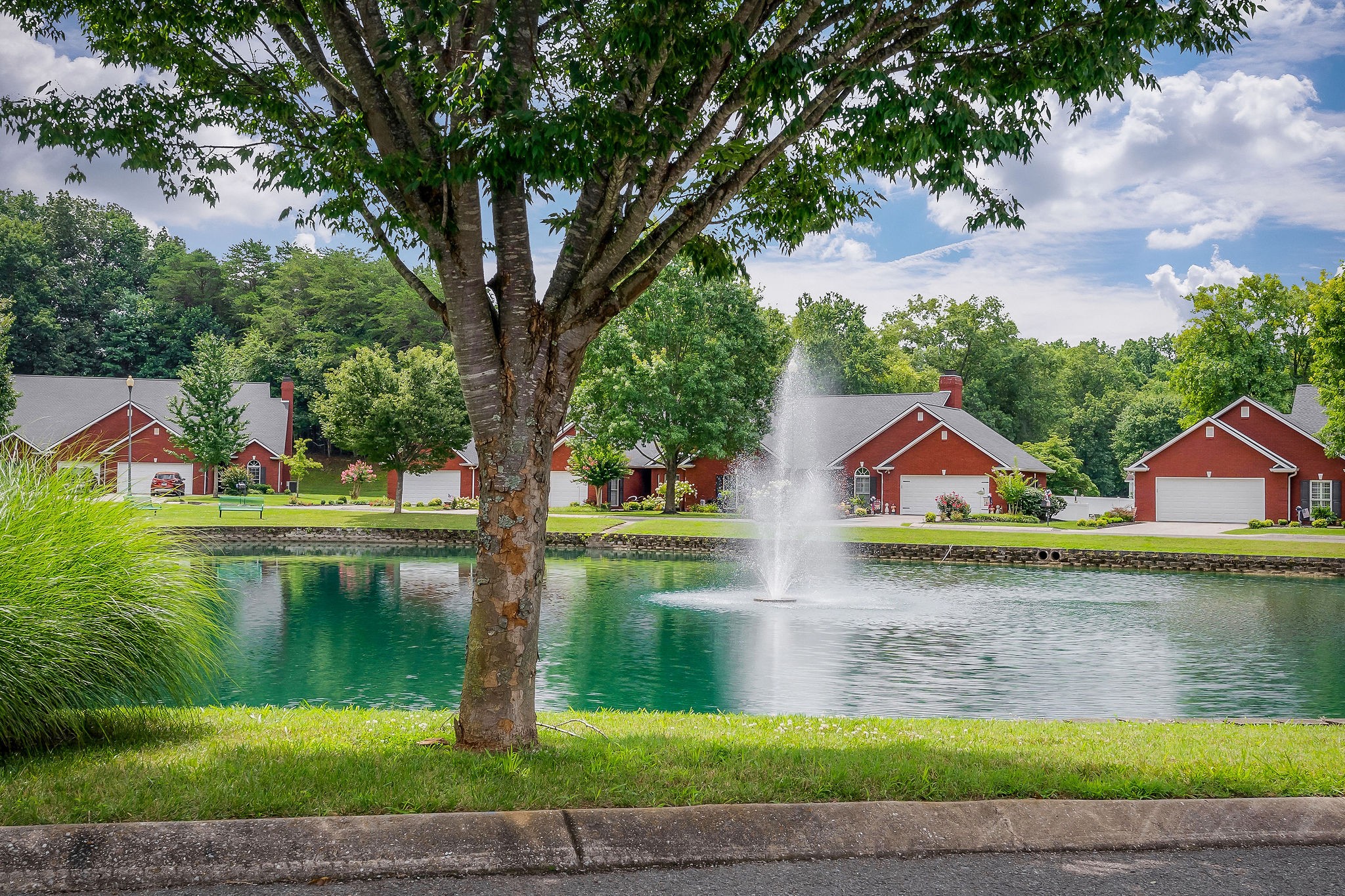 225 Hickory Ct