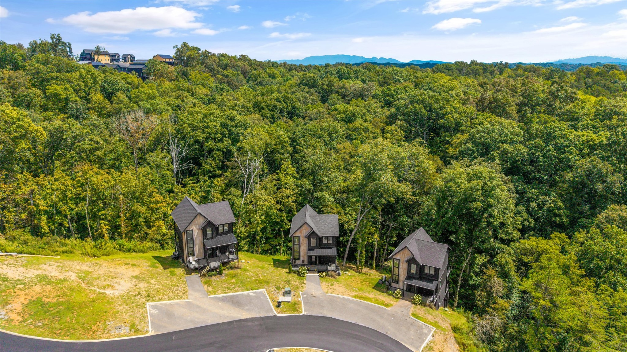 1134 Reedmont Way