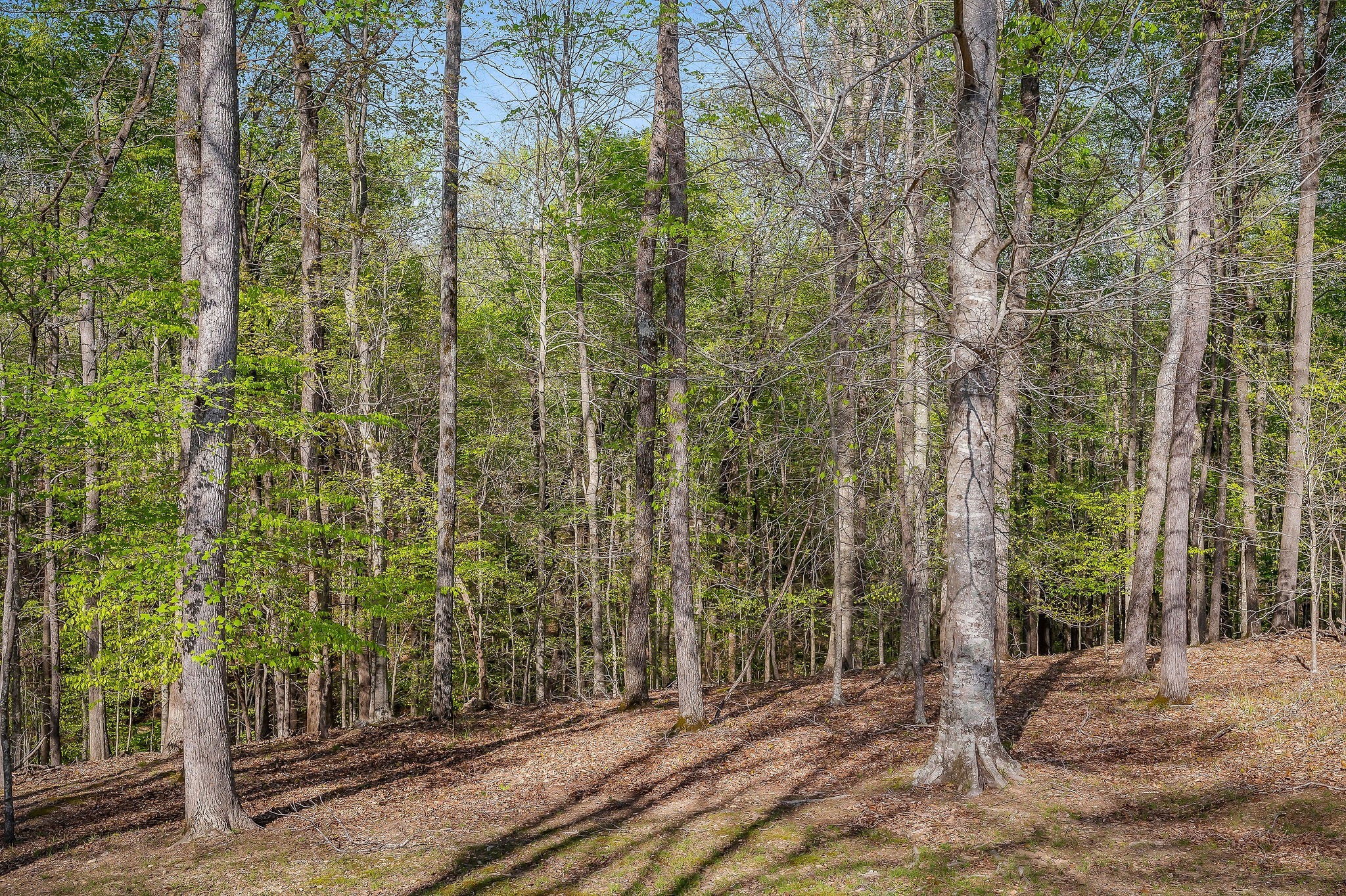 1219 Four Seasons Dr