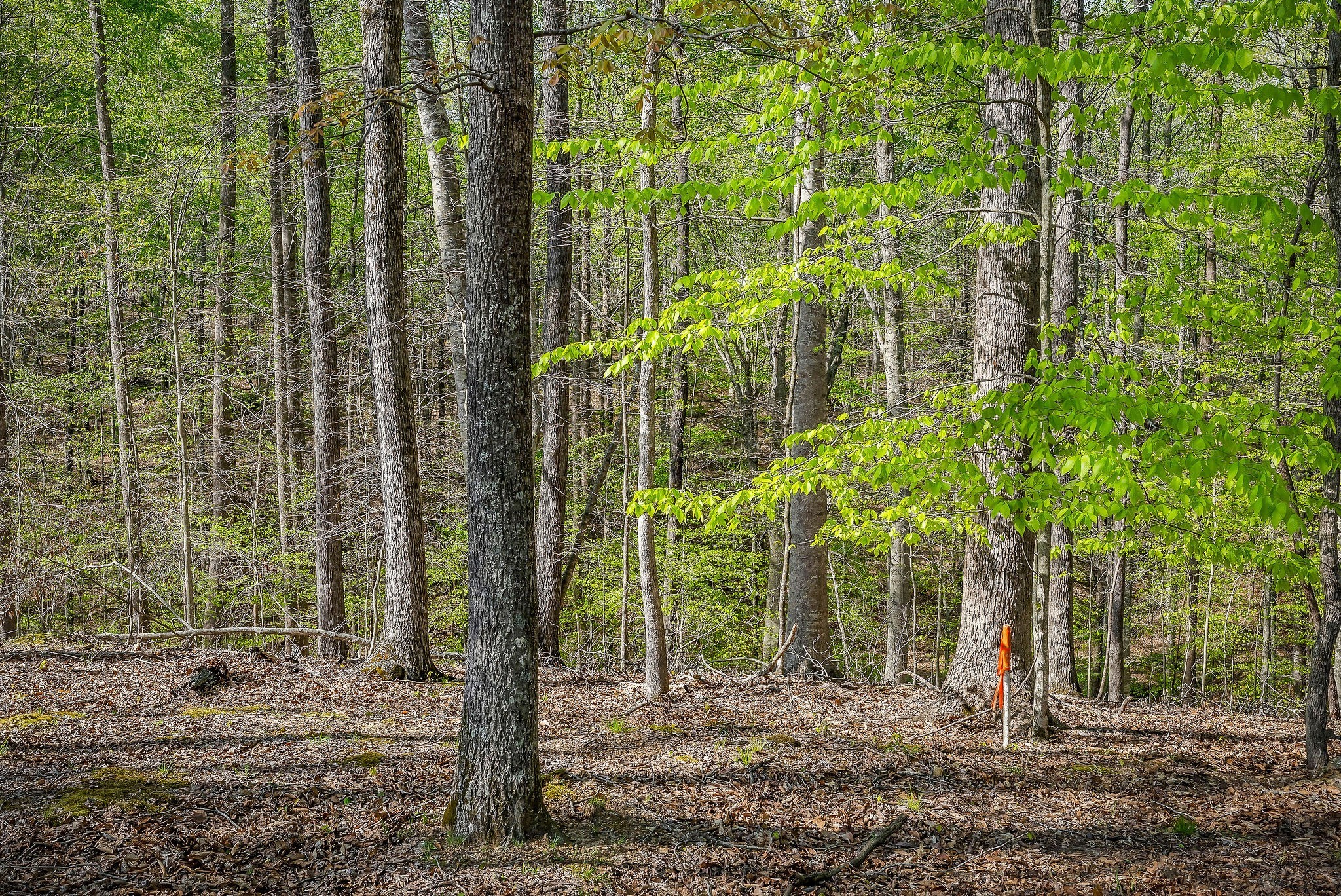 1219 Four Seasons Dr