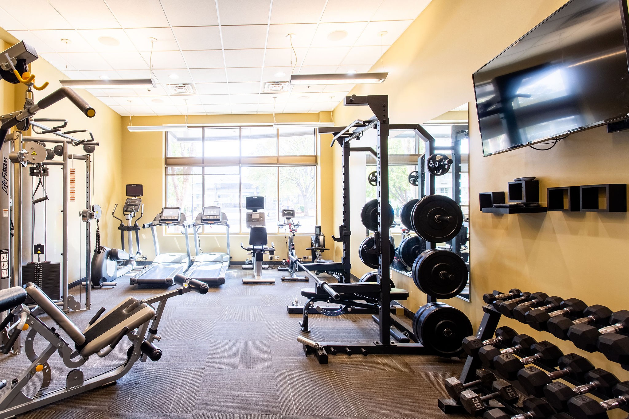 1510 Demonbreun St Unit: 1207