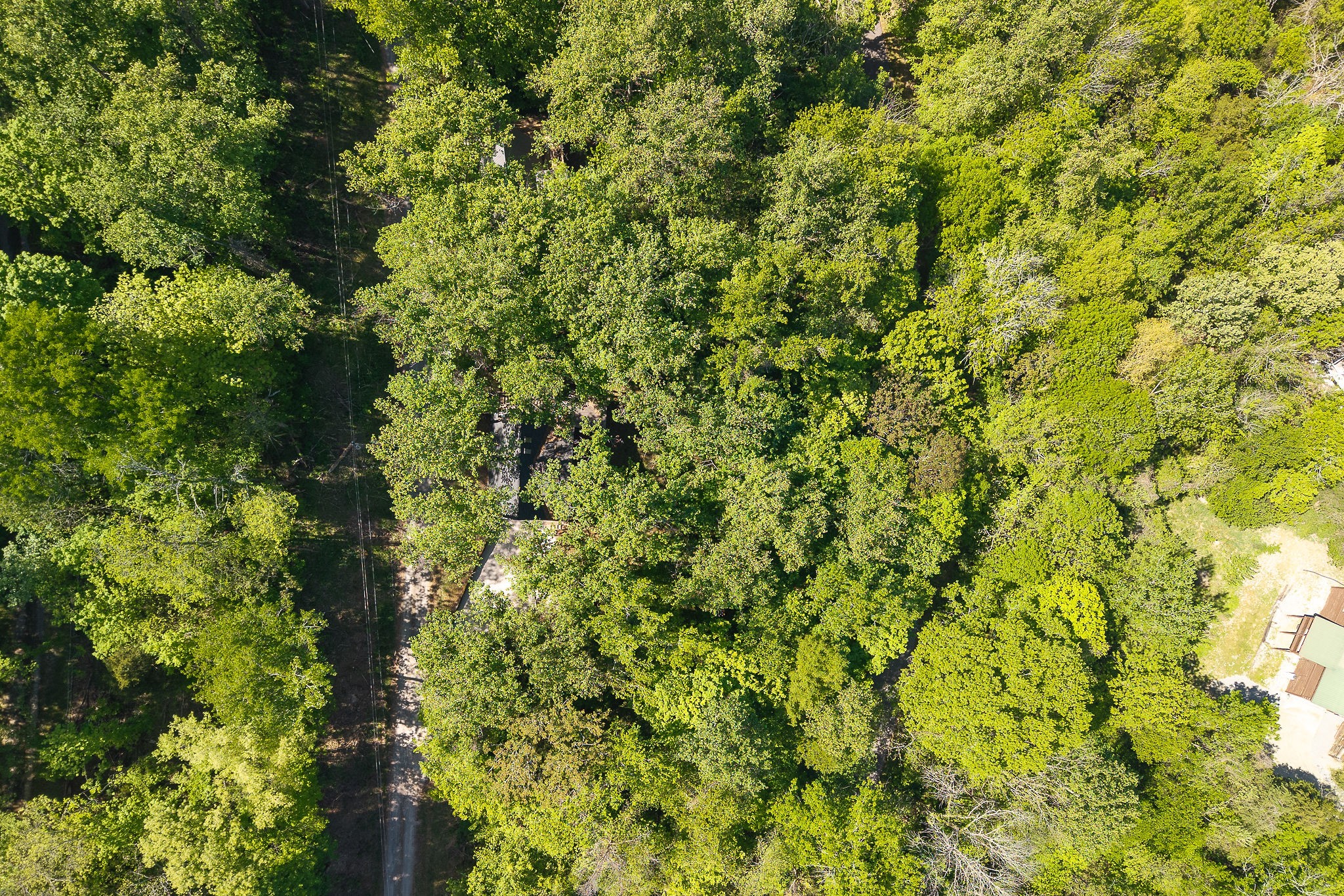 280 Hurricane Hill Rd