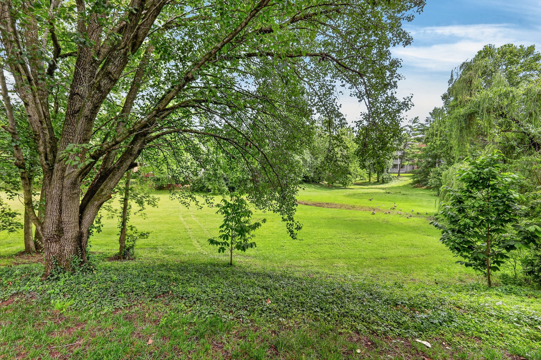 608 Arkland Pl