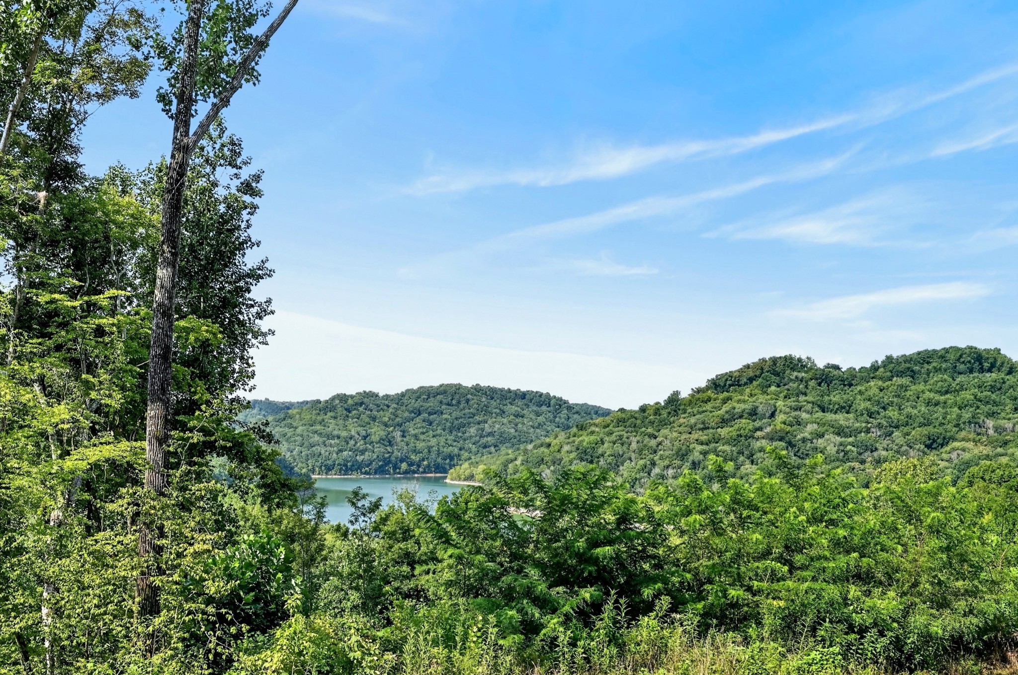 2343 Shoreside Dr