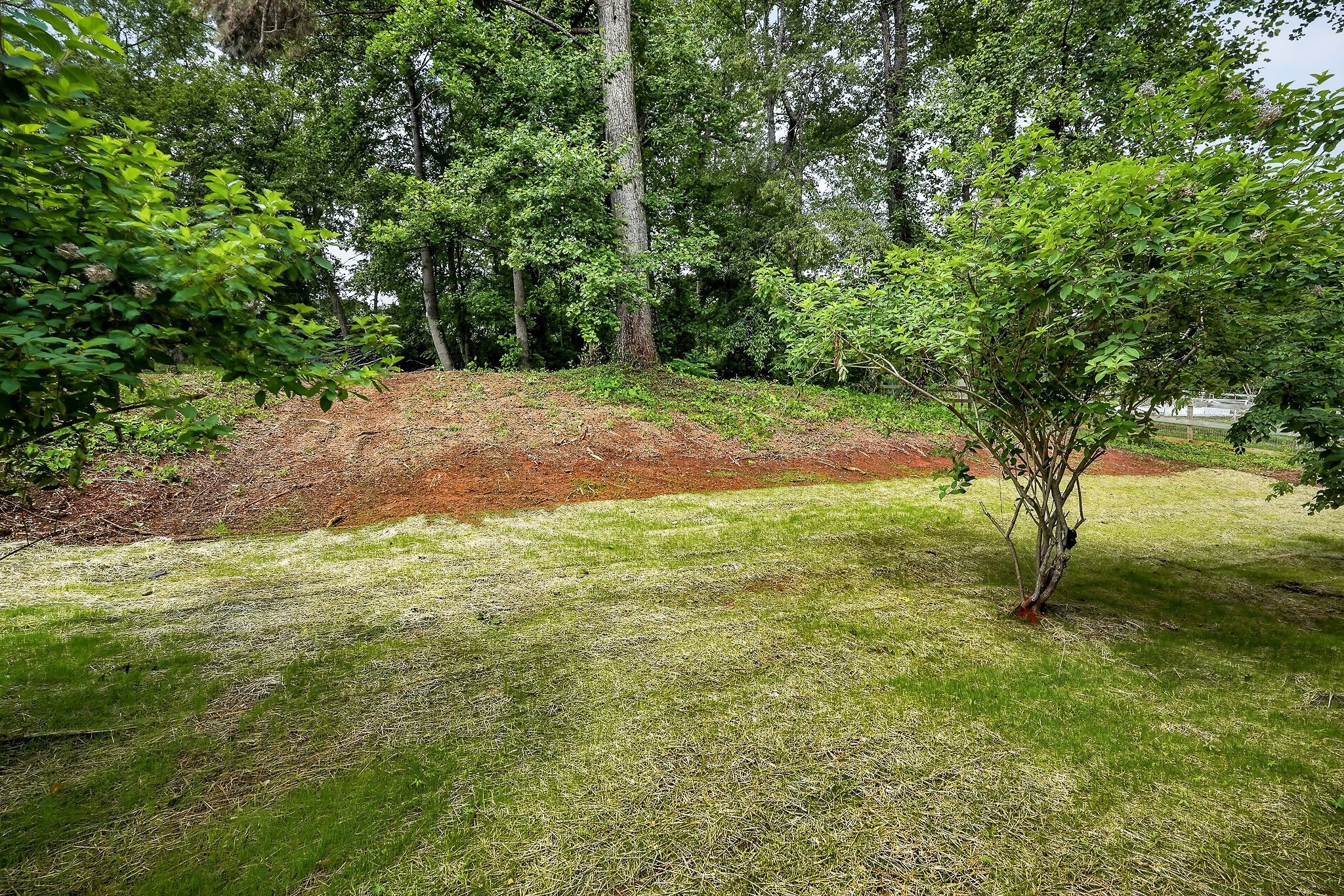 303 Westwood Dr