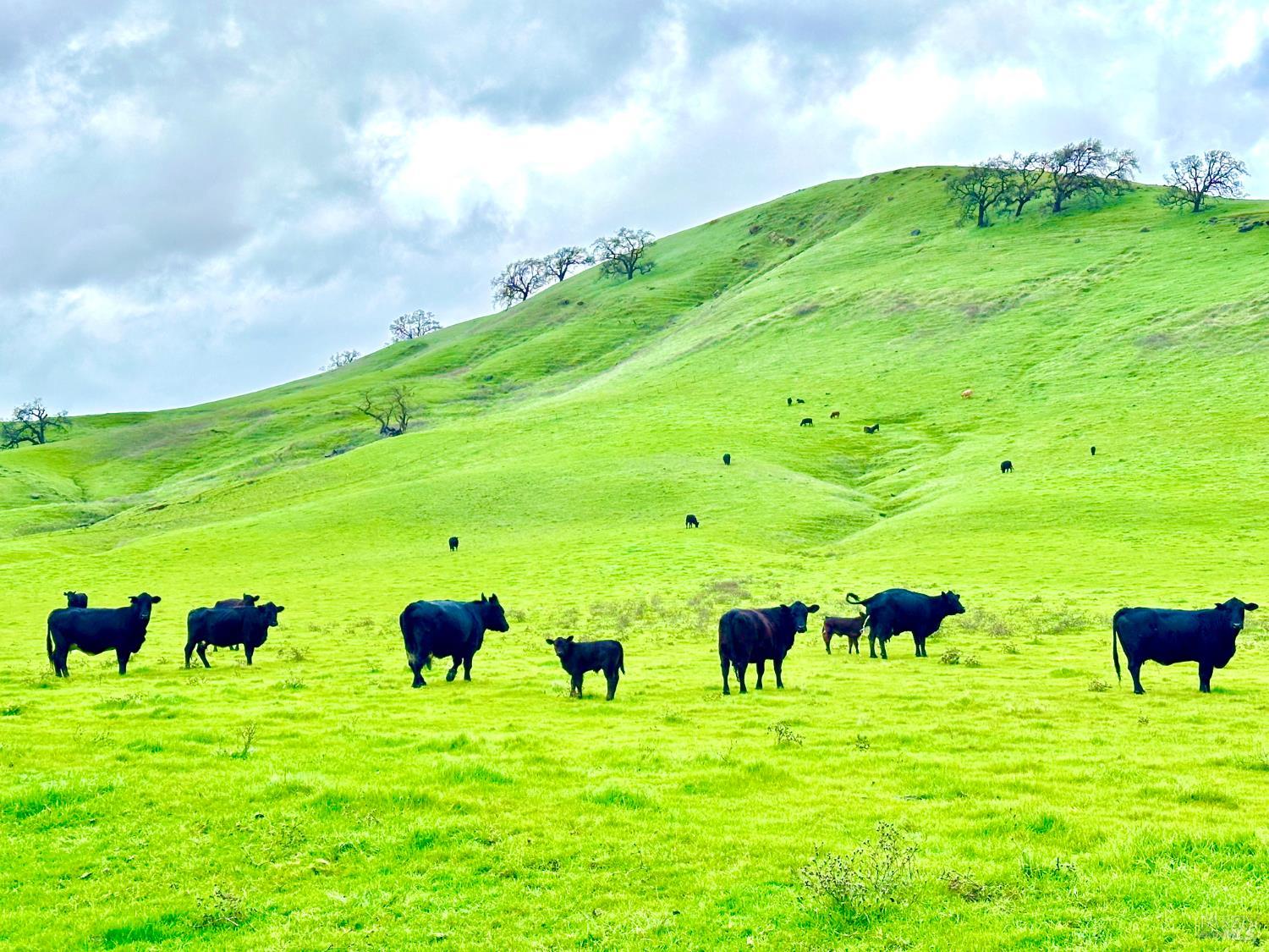 3368 Hidden Valley Lane