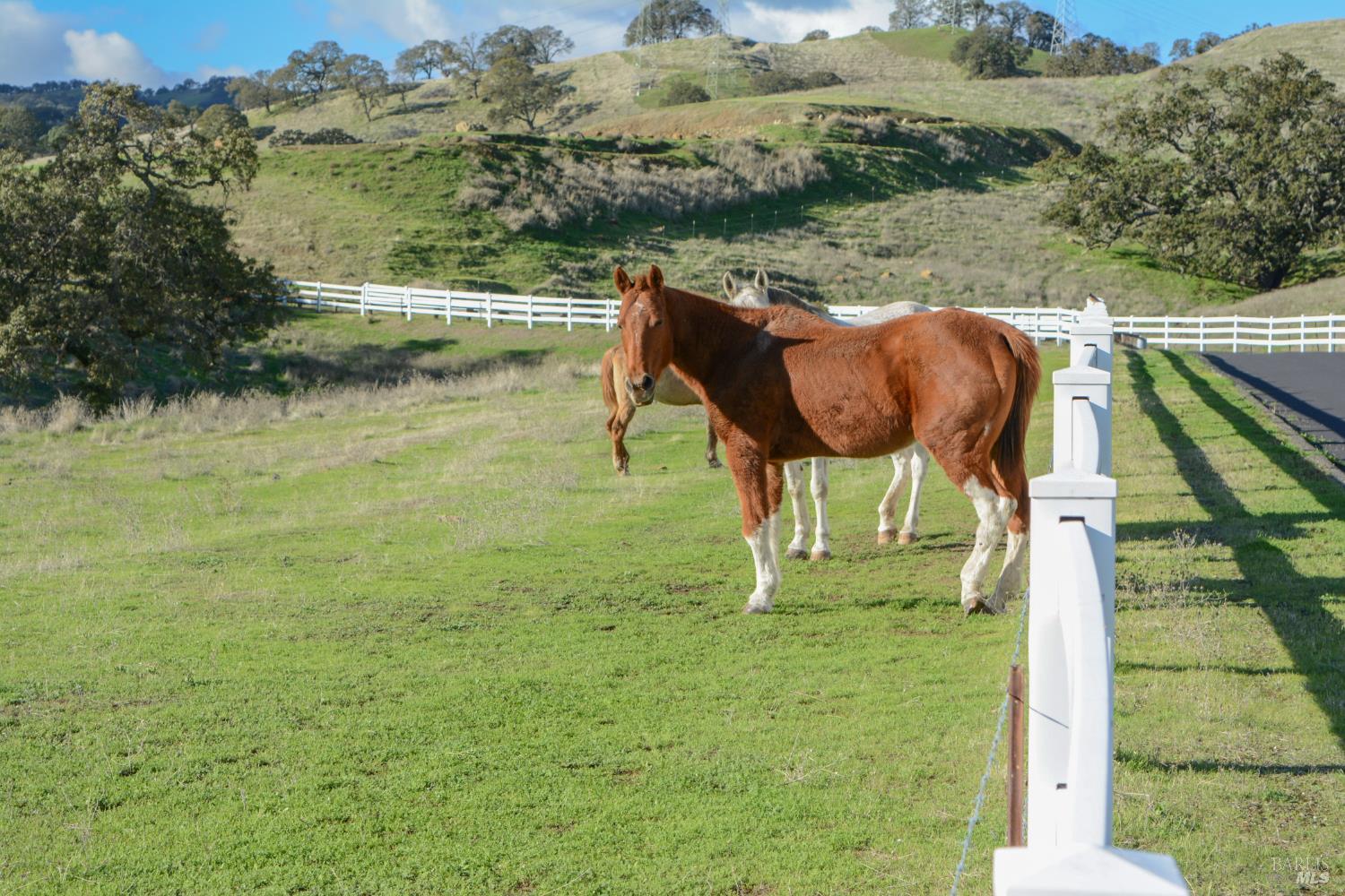 3368 Hidden Valley Lane