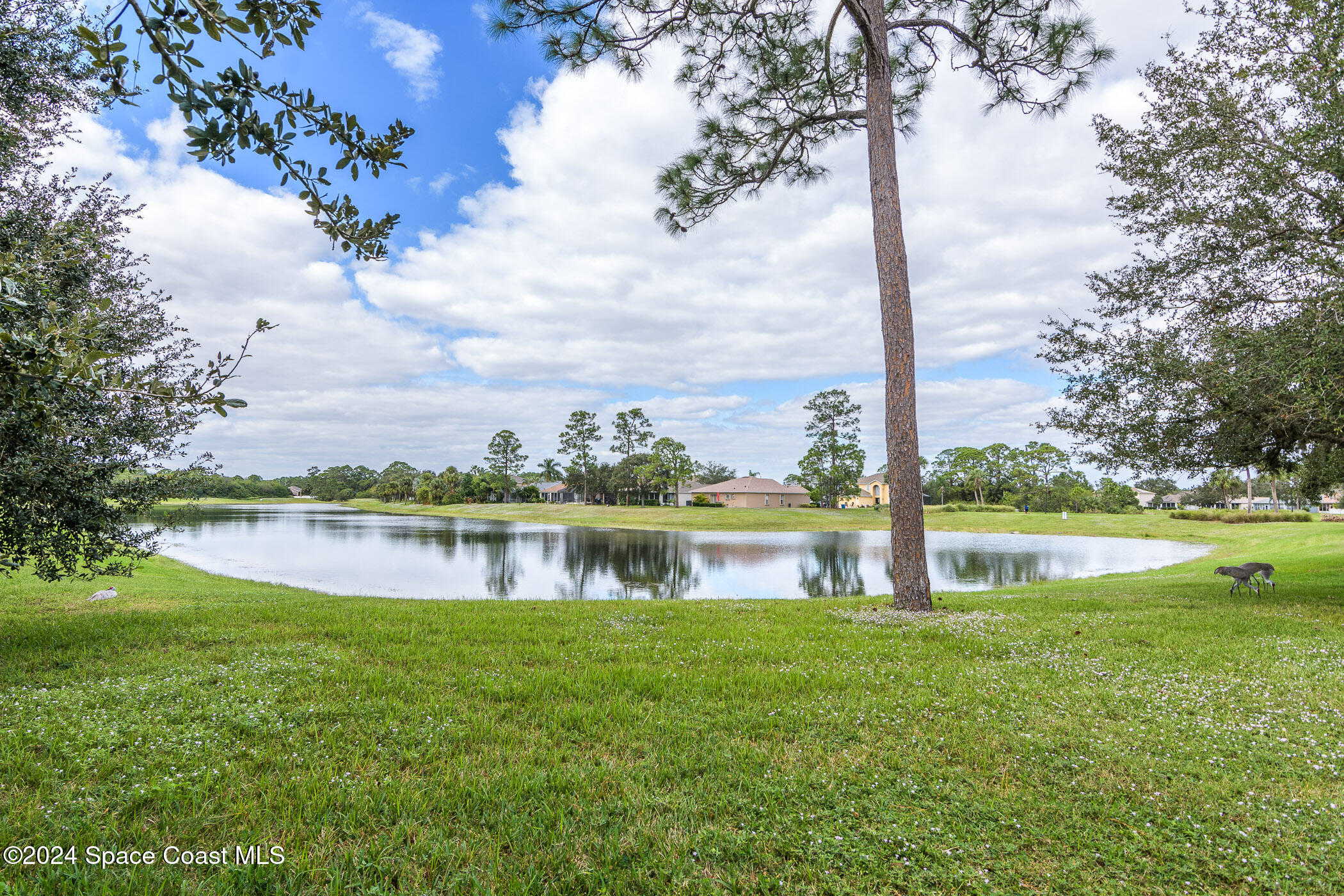 1740 Sawgrass Drive SW