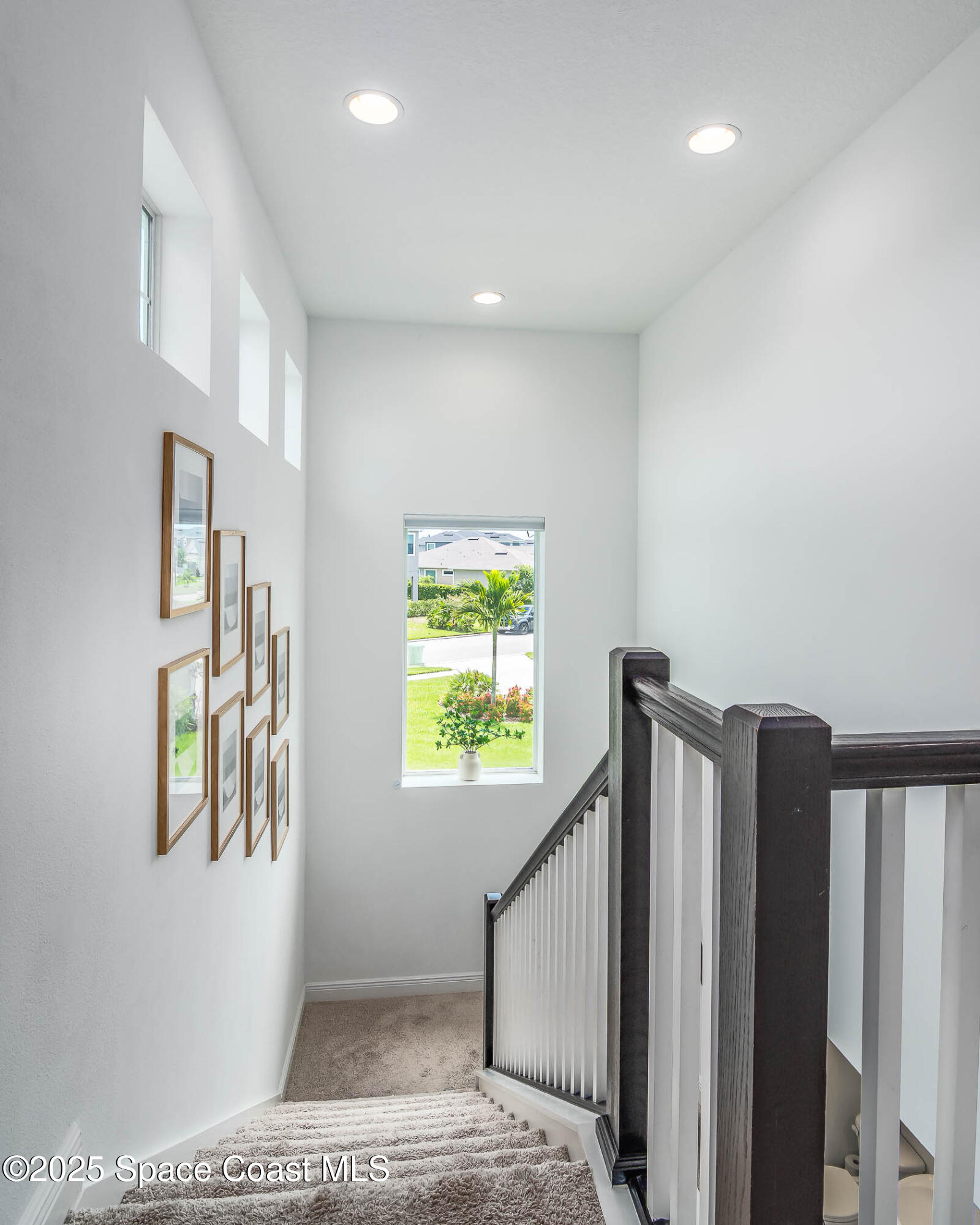 3199 Ribbon Grass Drive