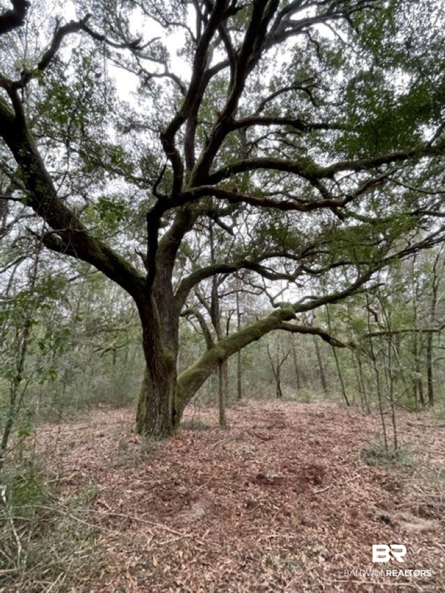 9847 S County Road 99