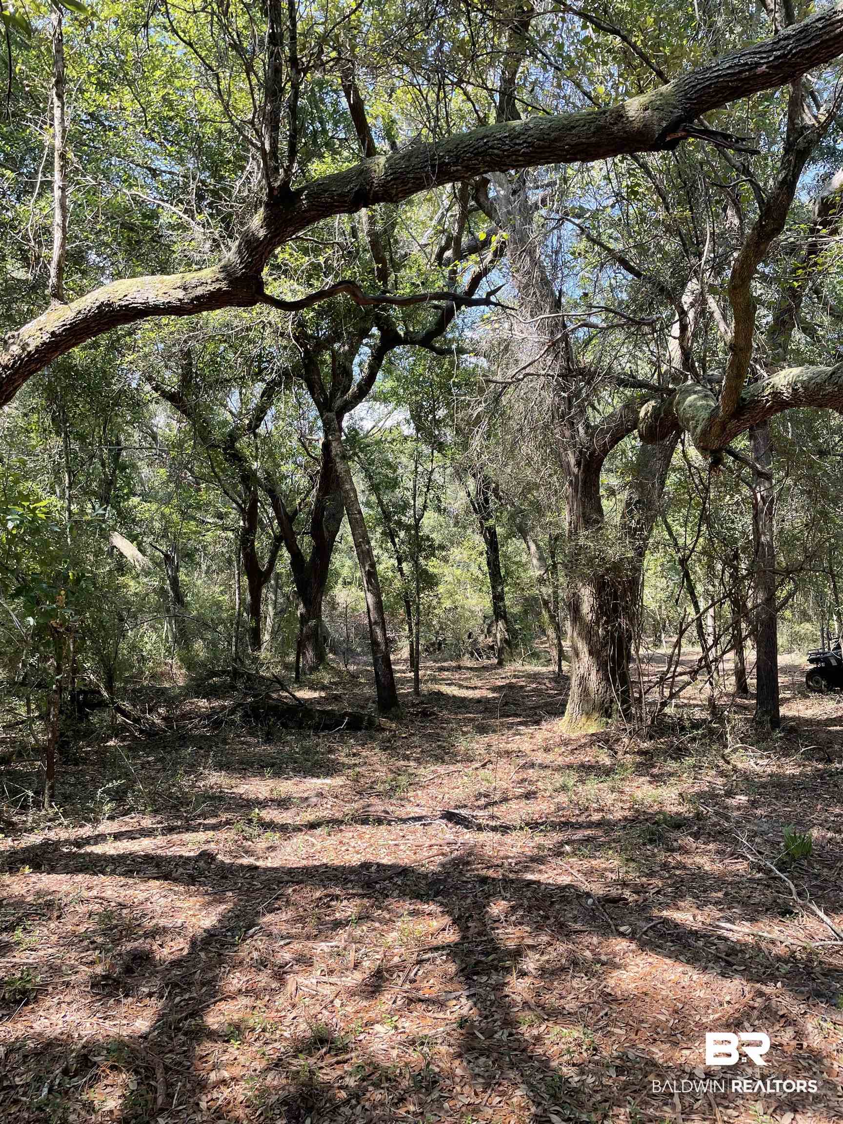 9847 S County Road 99