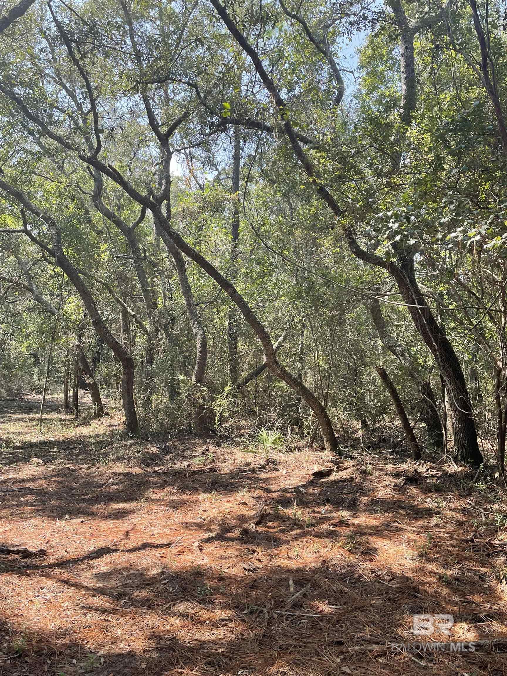 9847 S County Road 99