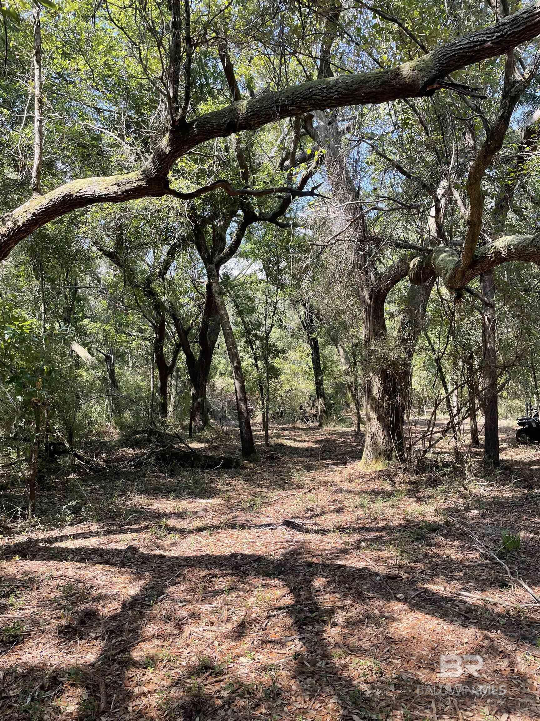 9847 S County Road 99