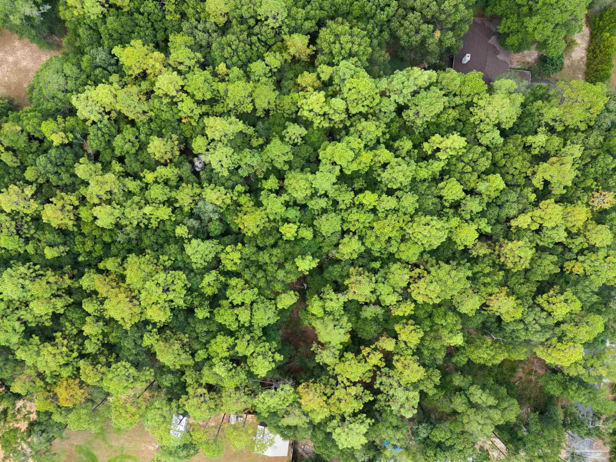 6000 Blk. Bayberry St