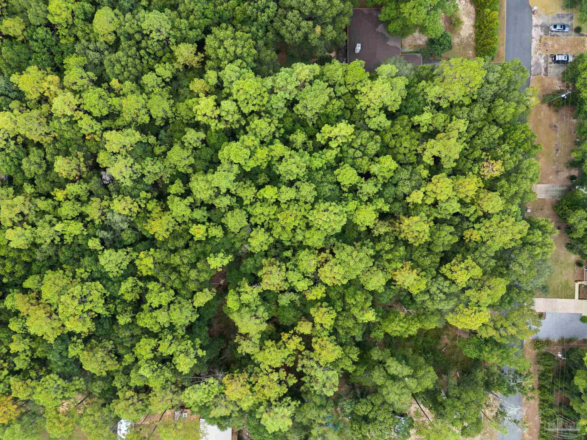 6000 Blk. Bayberry St