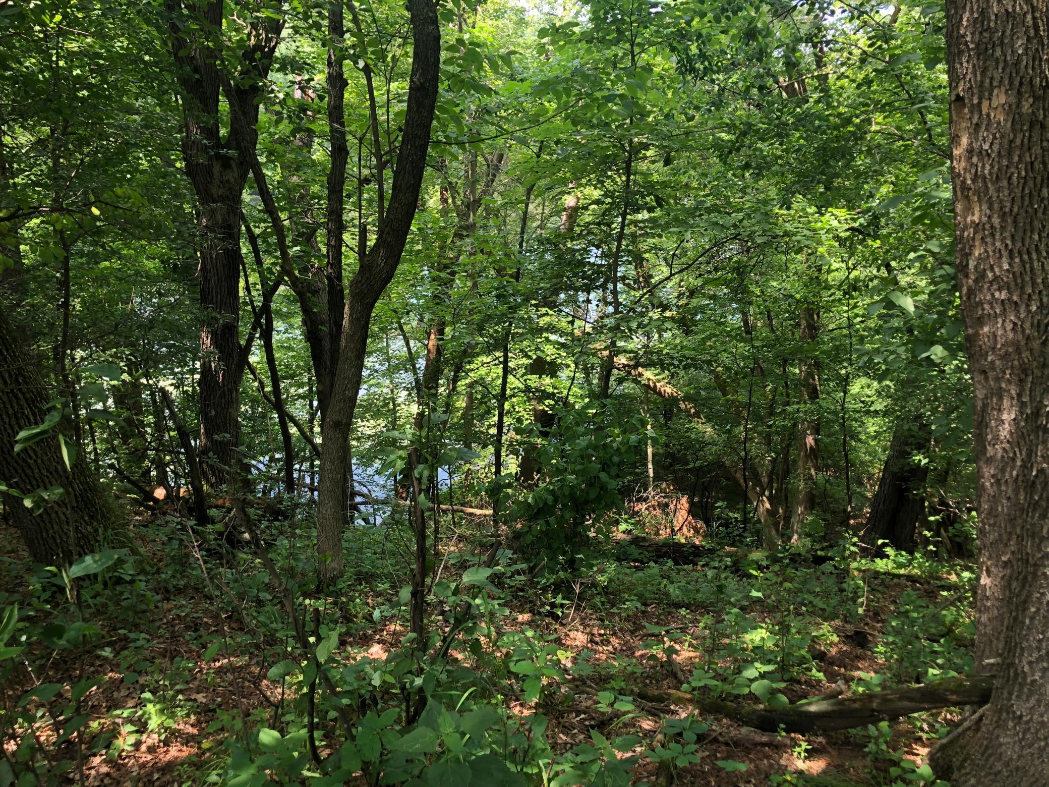 Lot 5 Eagle Point Road N