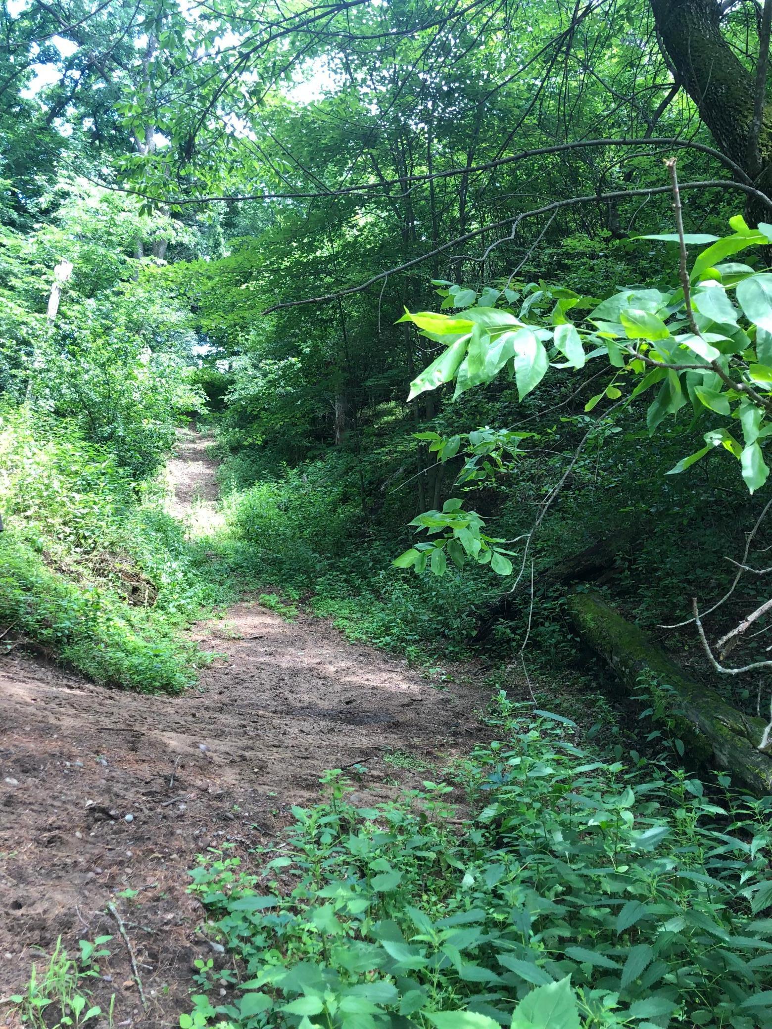 Lot 5 Eagle Point Road N