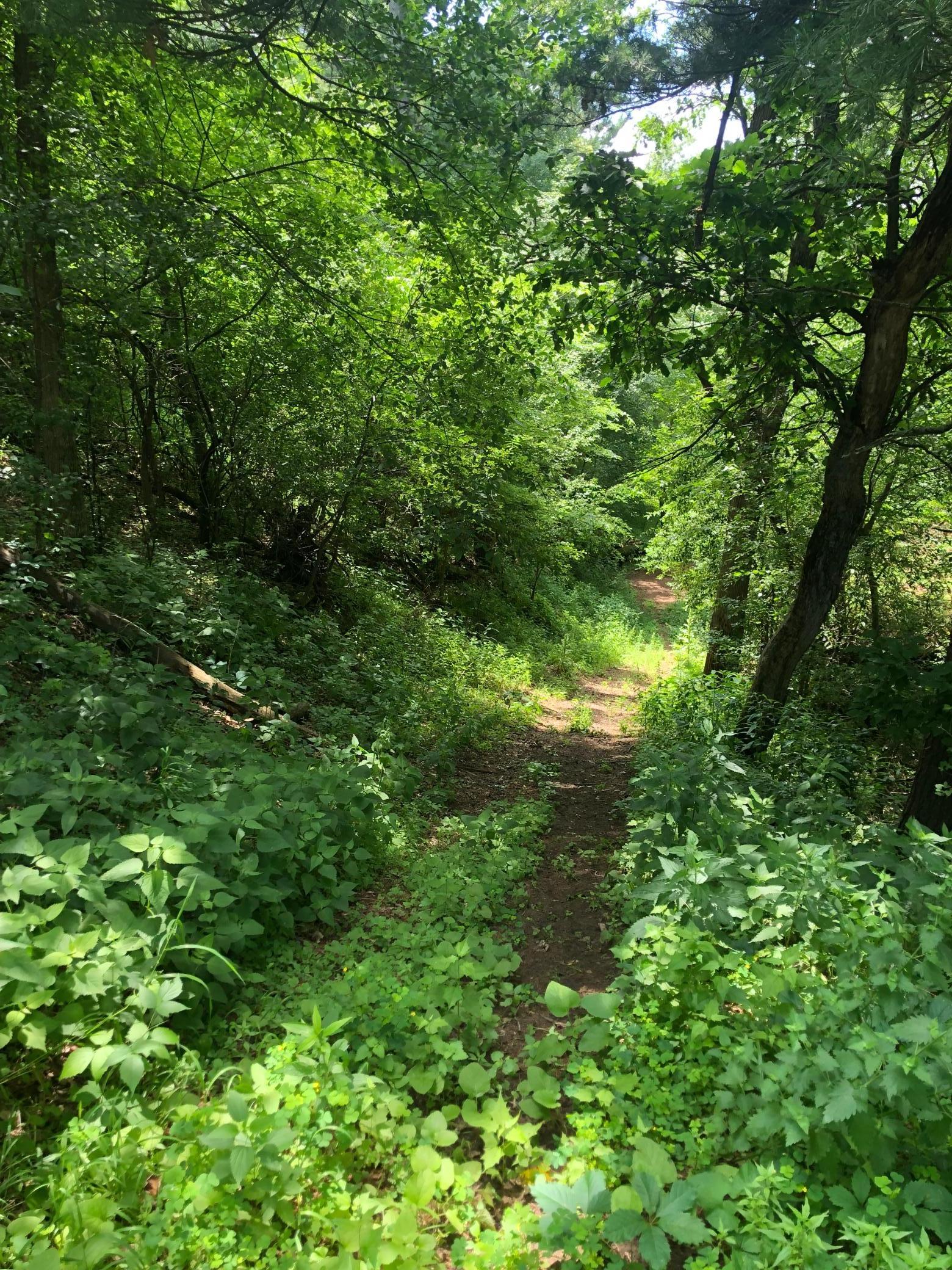 Lot 5 Eagle Point Road N