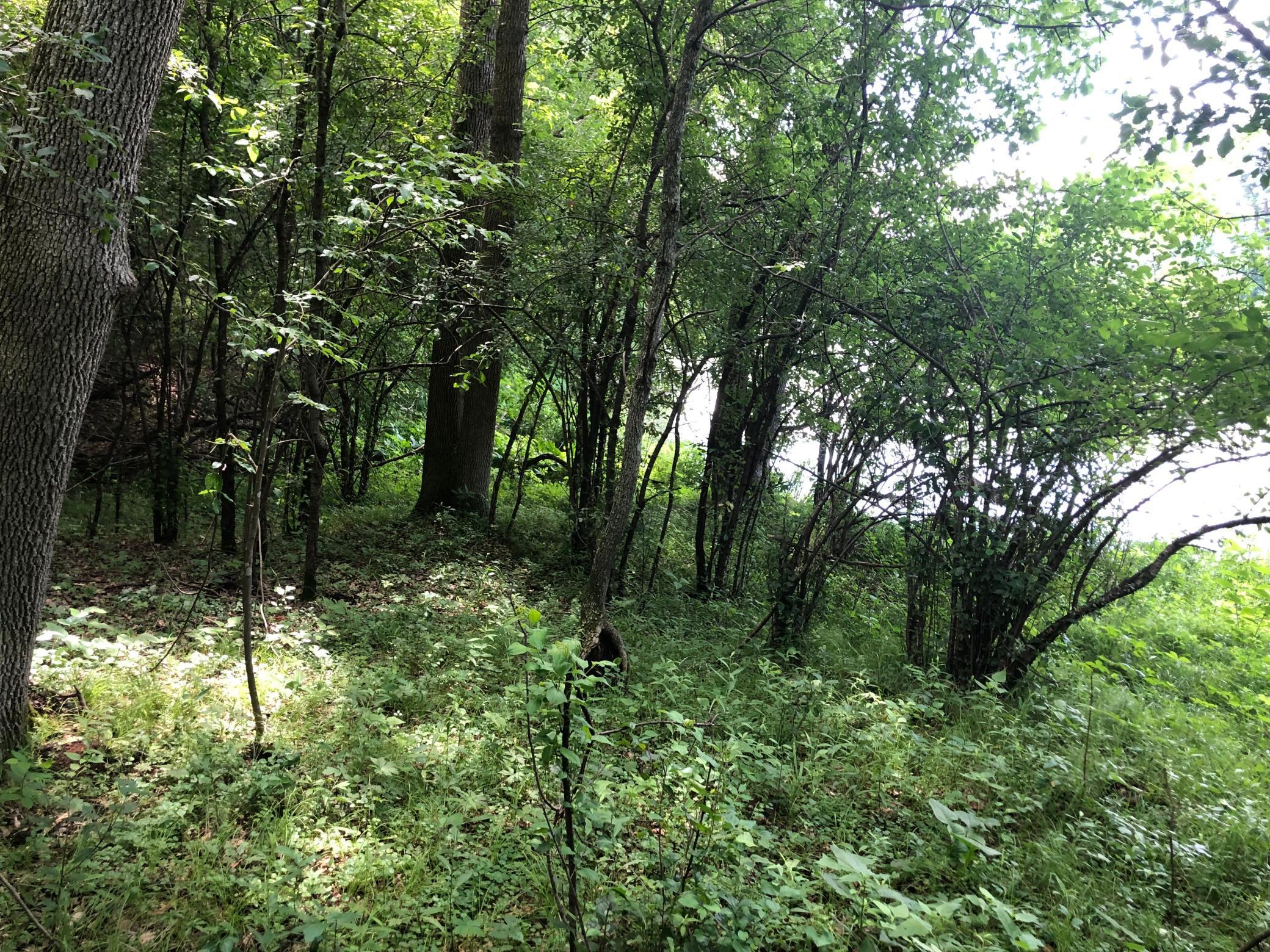 Lot 5 Eagle Point Road N