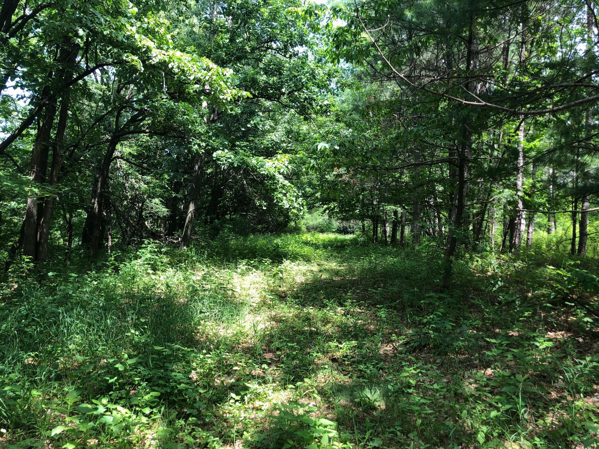 Lot 5 Eagle Point Road N