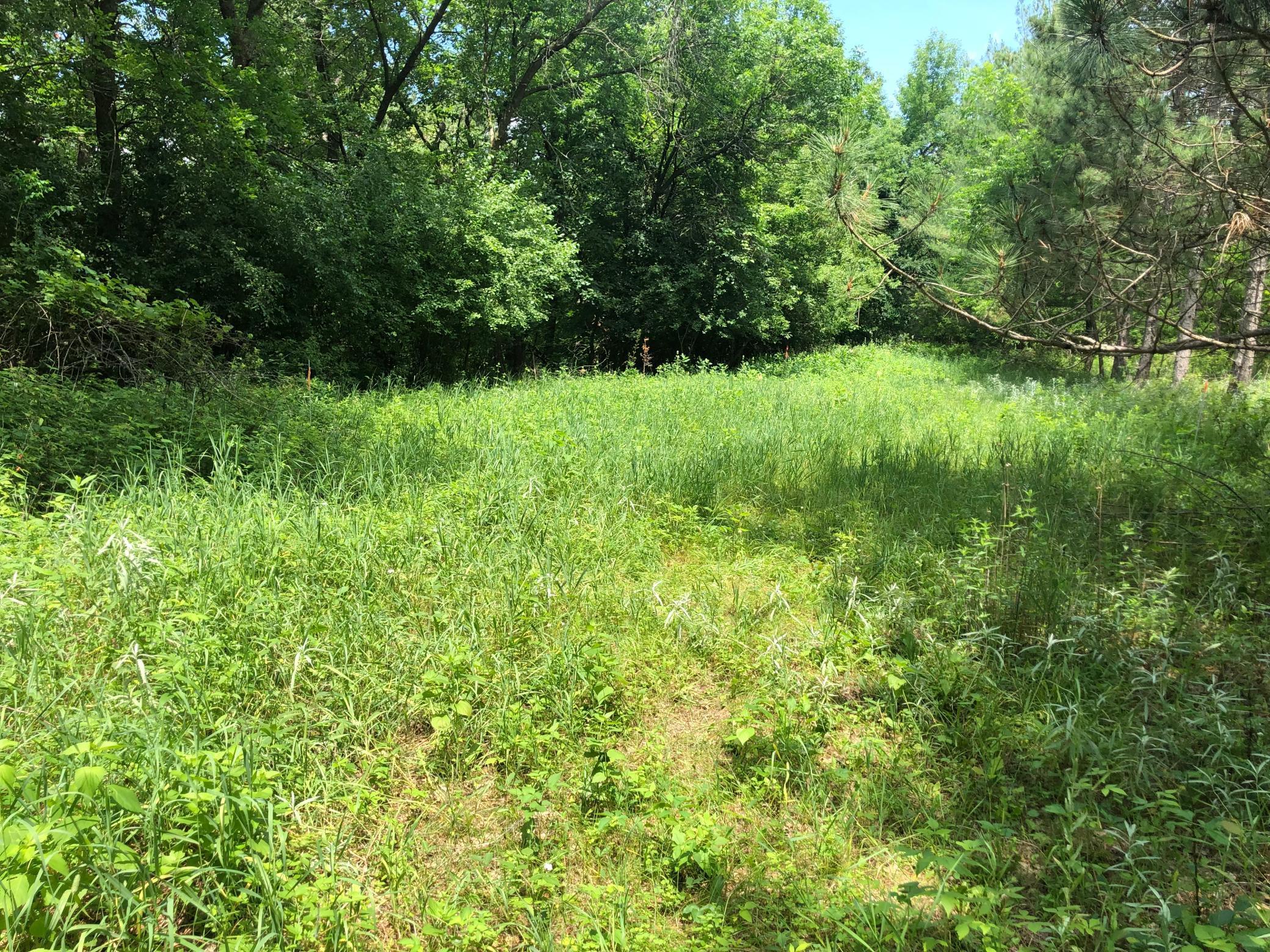 Lot 5 Eagle Point Road N