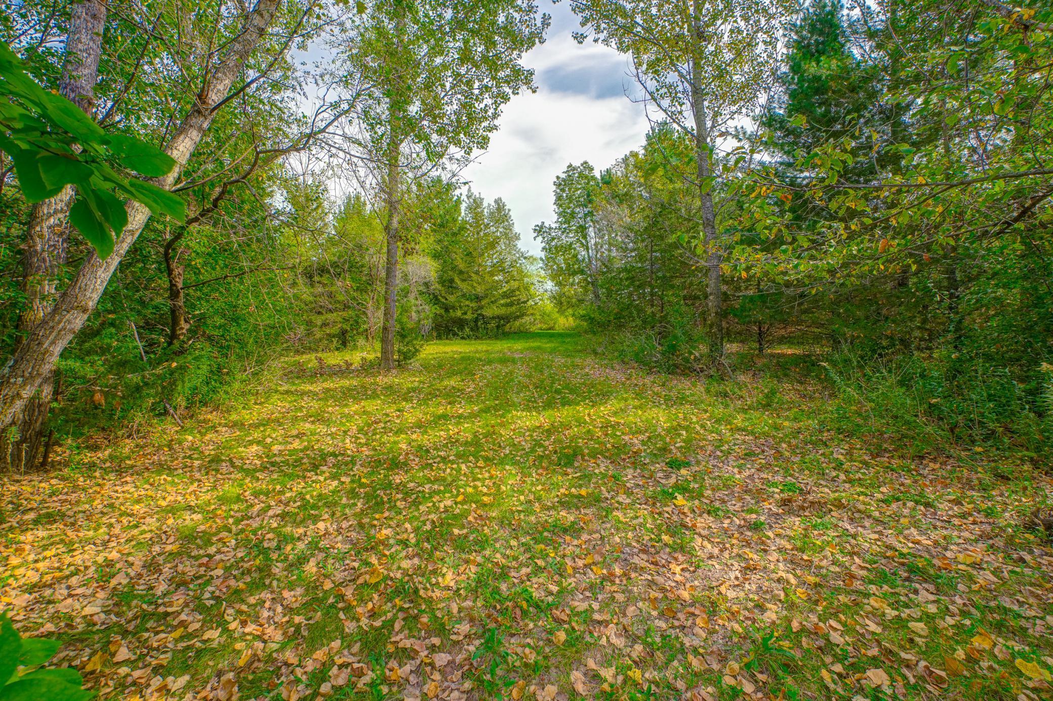 847 Lassie Lane