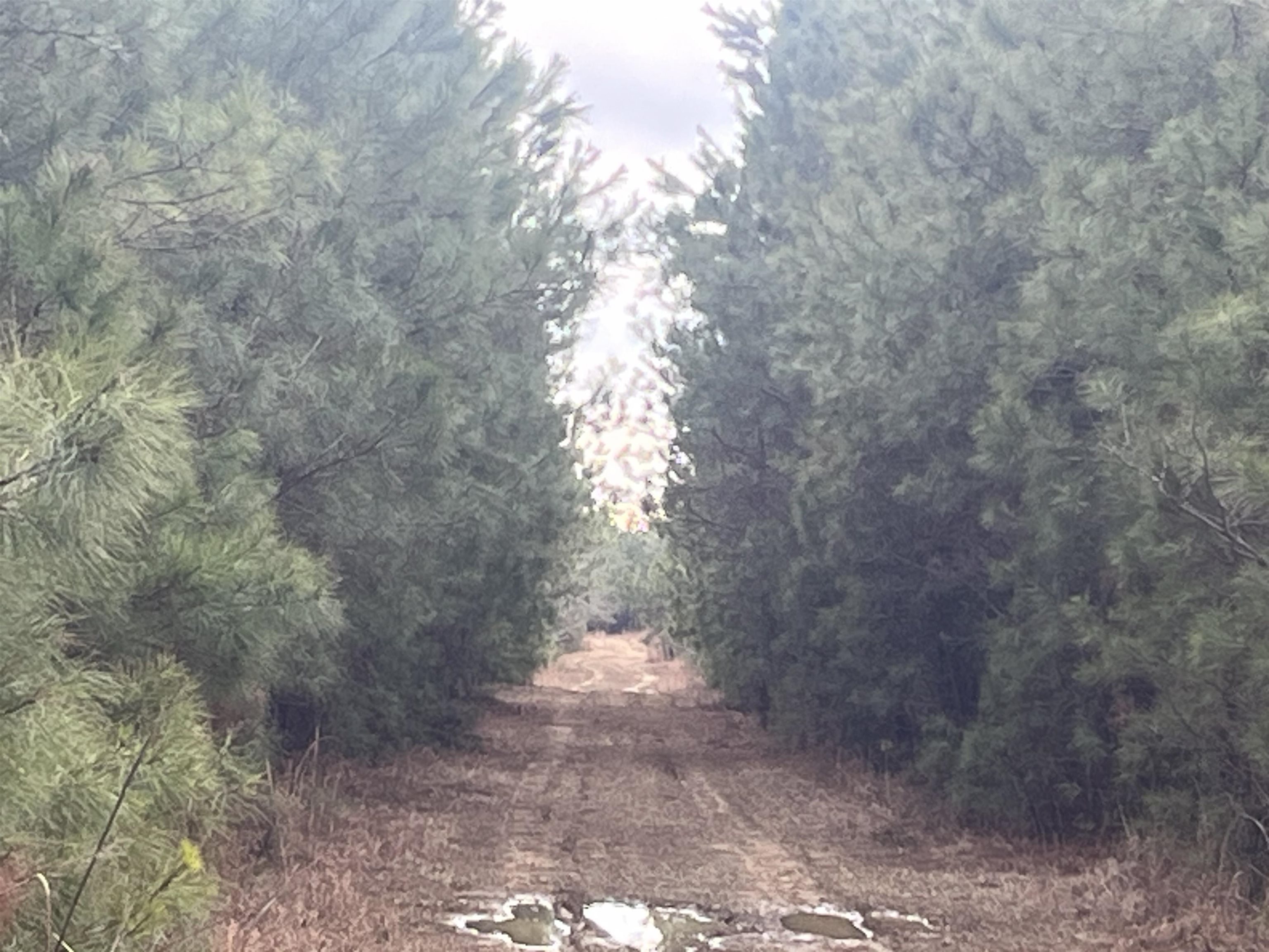 Centerville Rd.