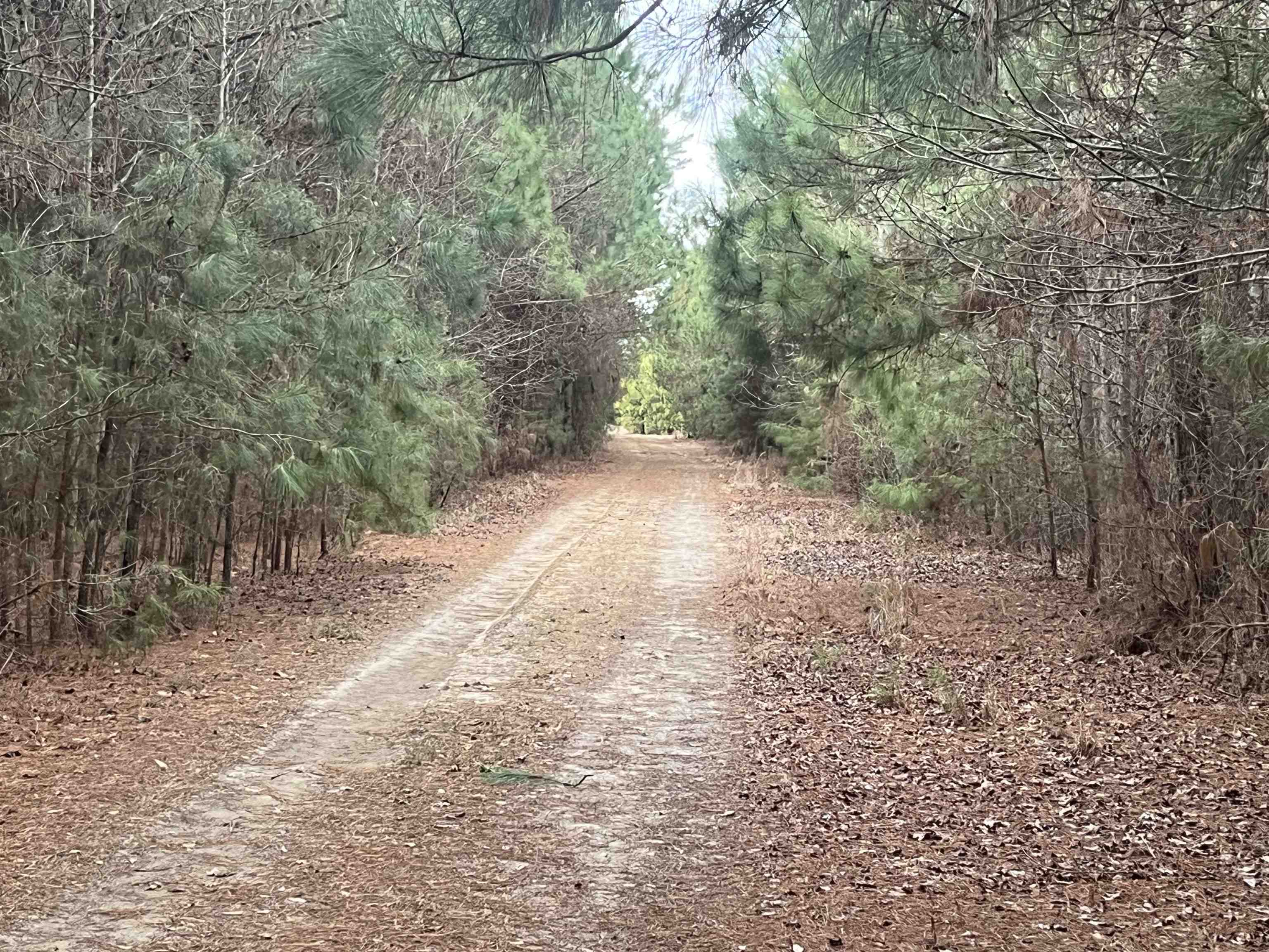 Centerville Rd.