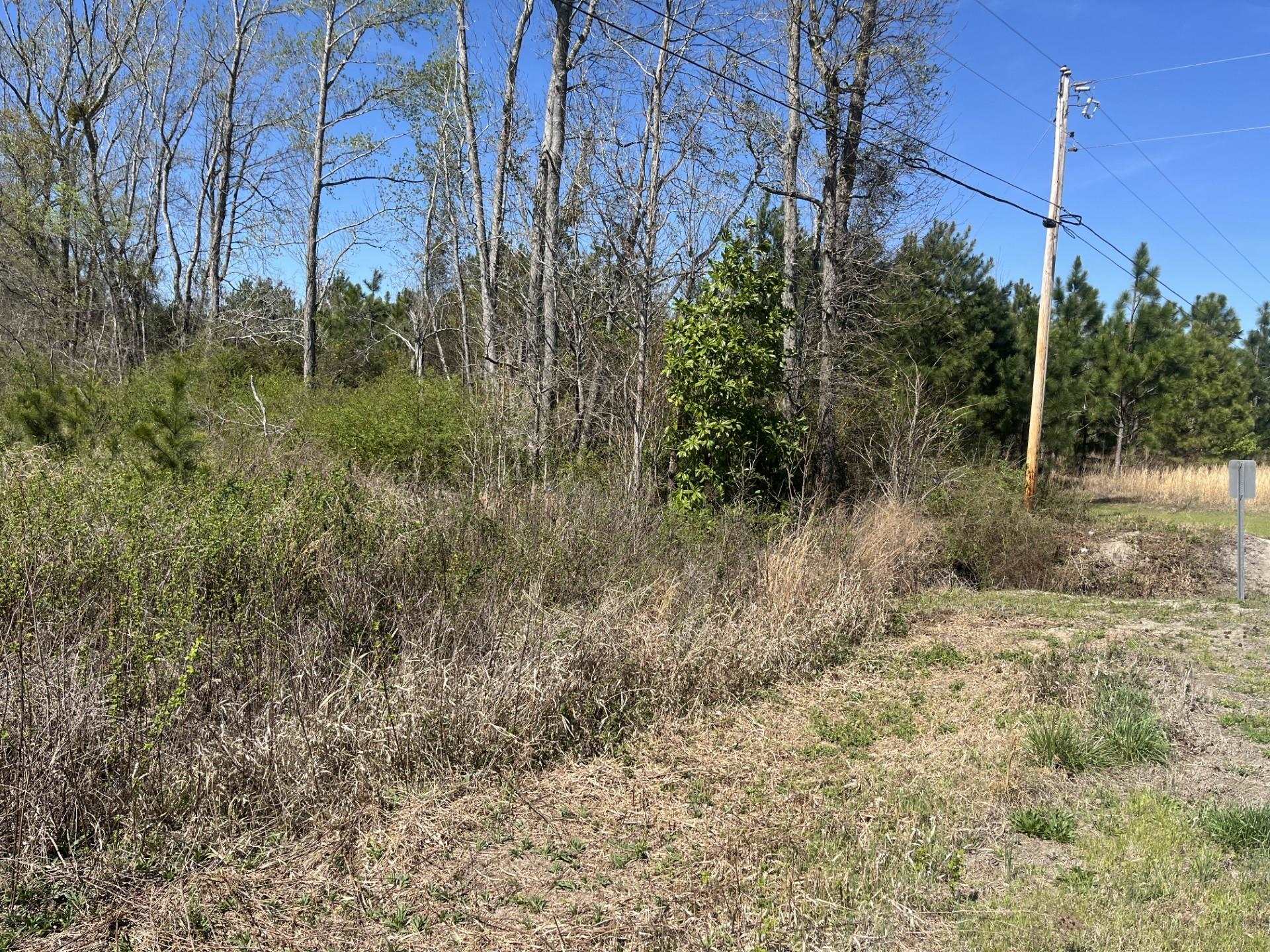 Attadale Rd