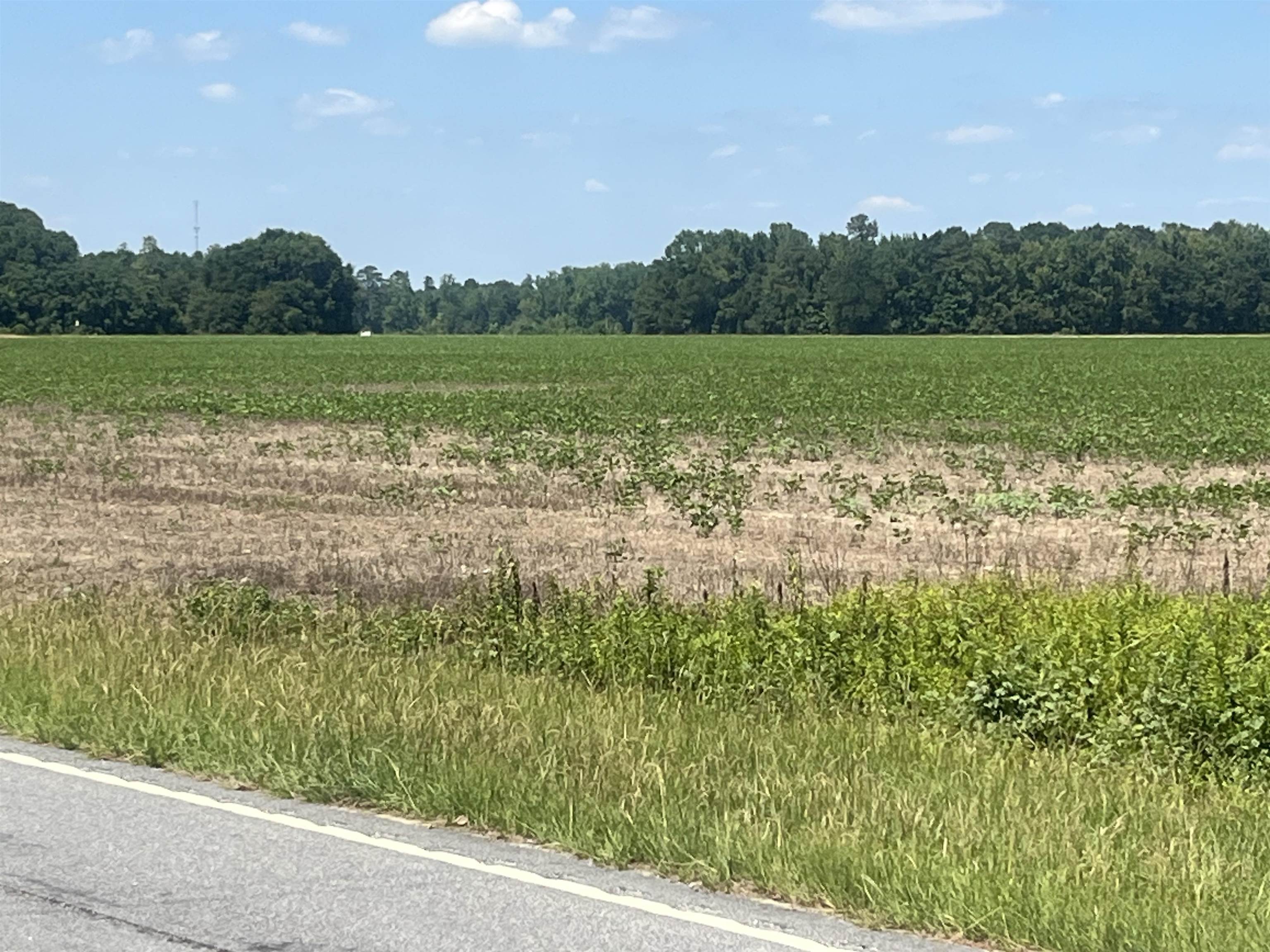 4177 Highway 38