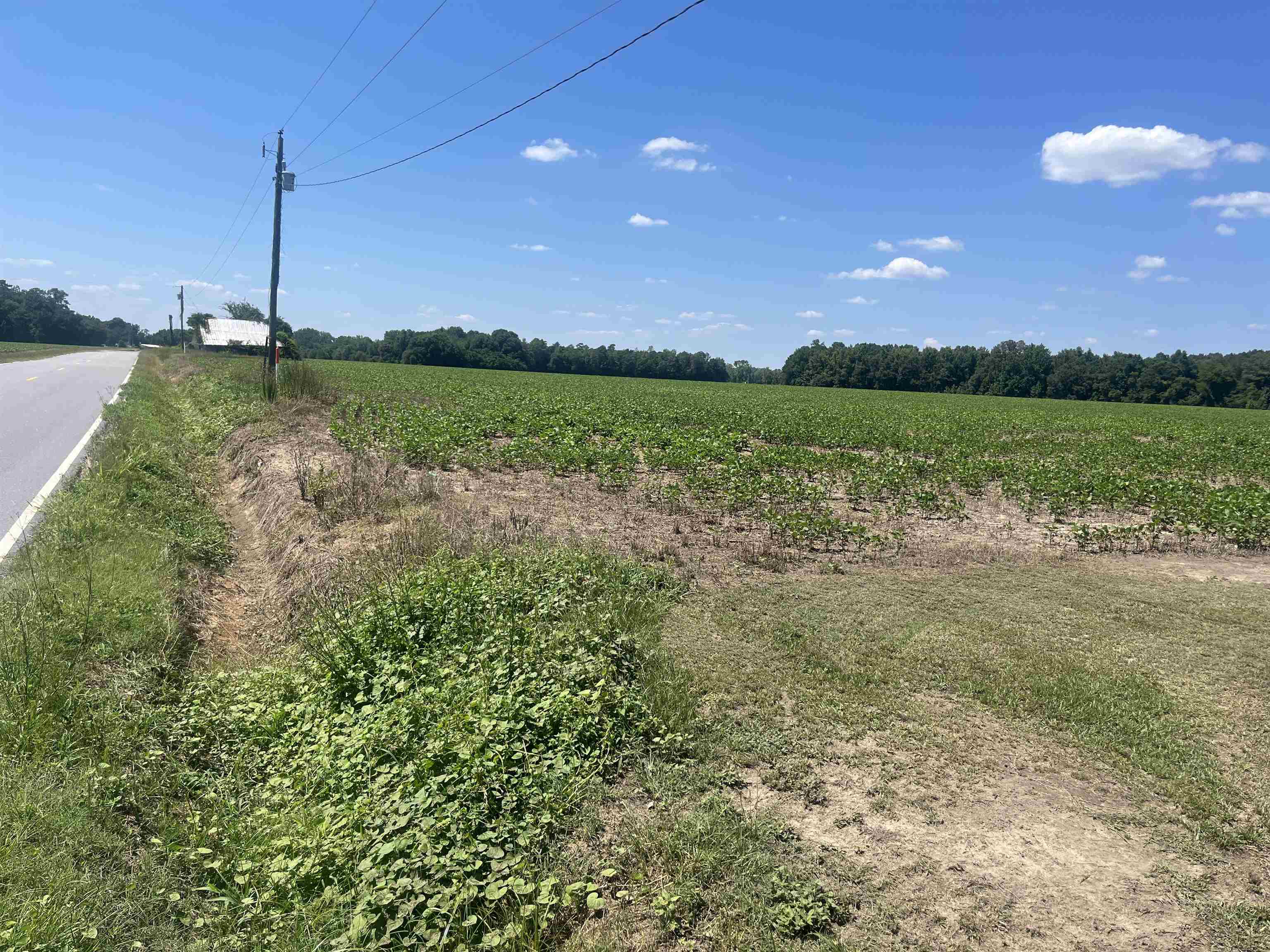 4177 Highway 38