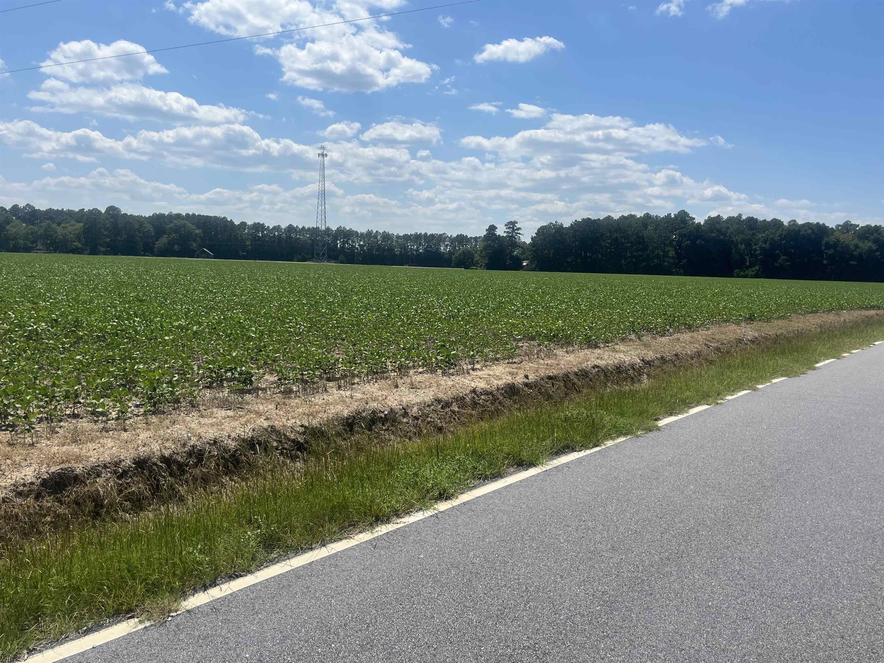 4177 Highway 38