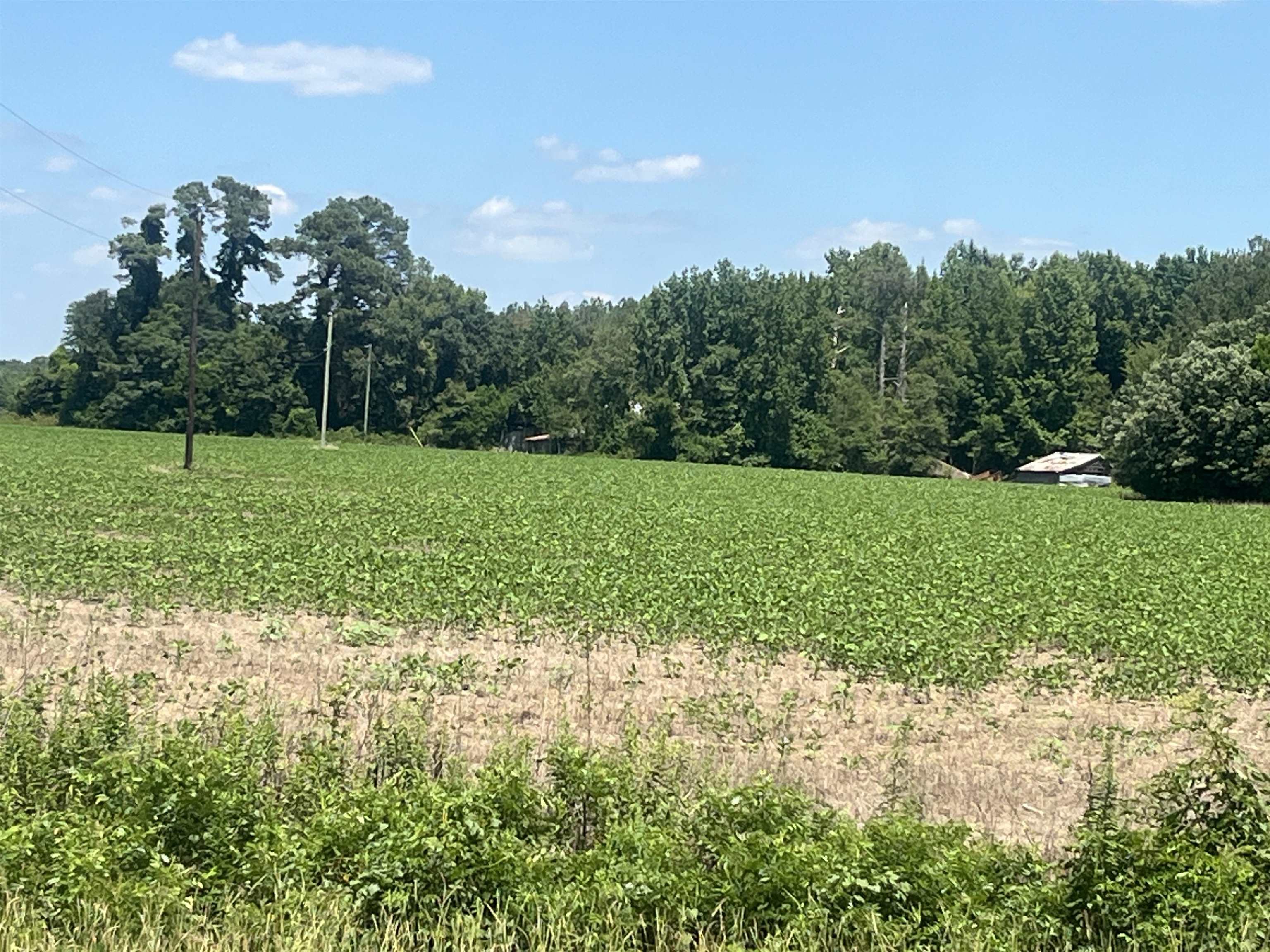 4177 Highway 38