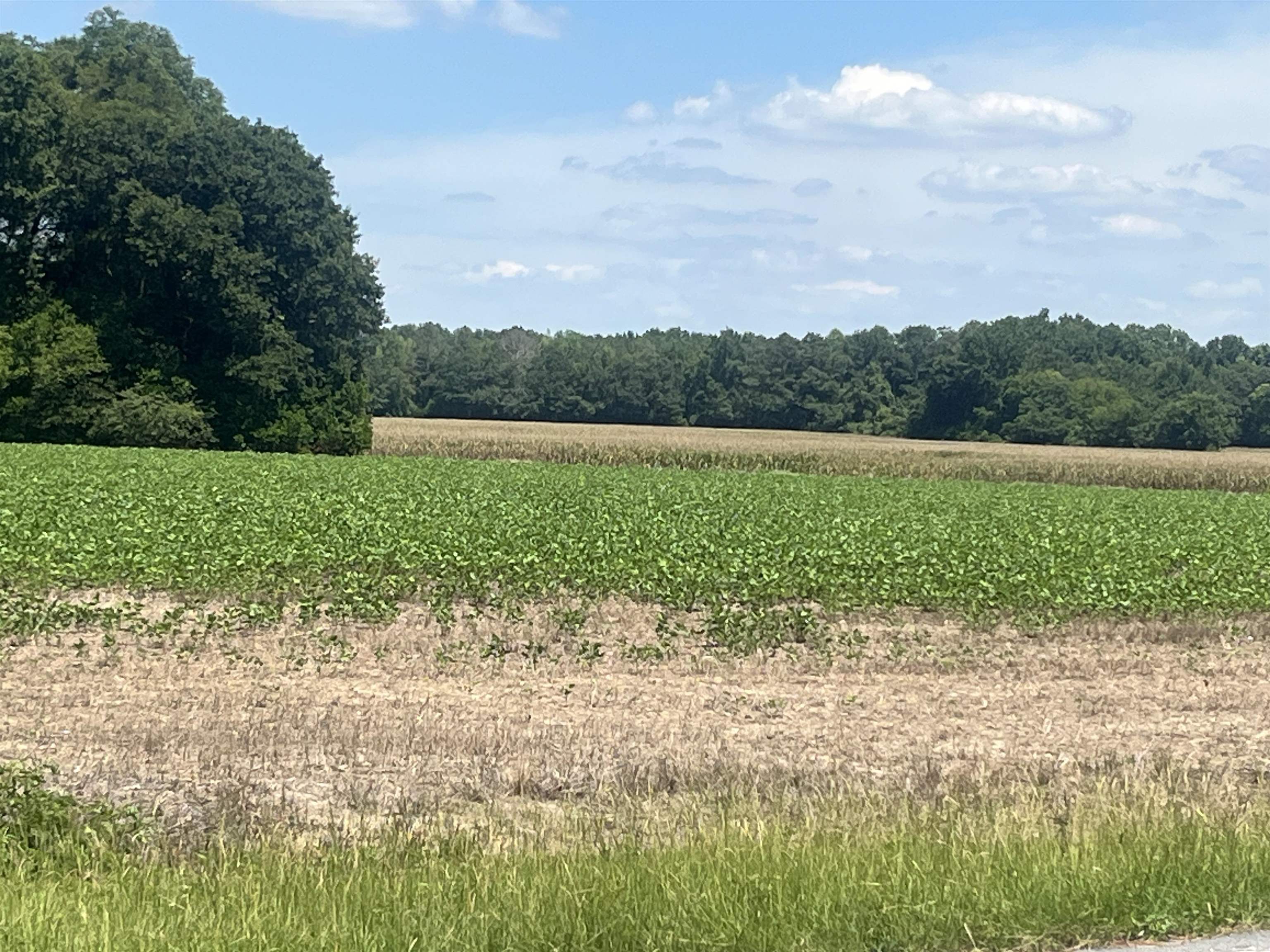 4177 Highway 38