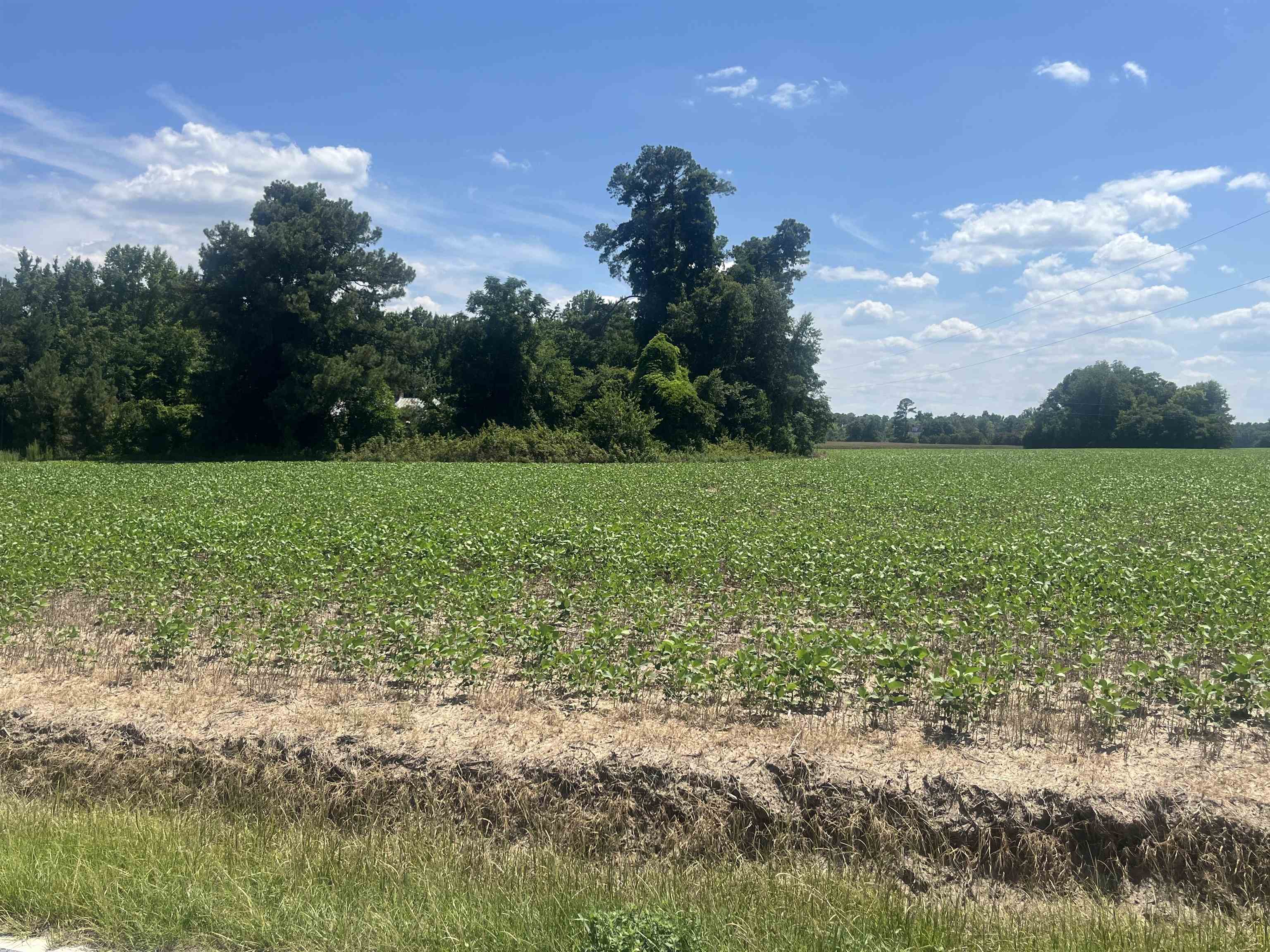 4177 Highway 38