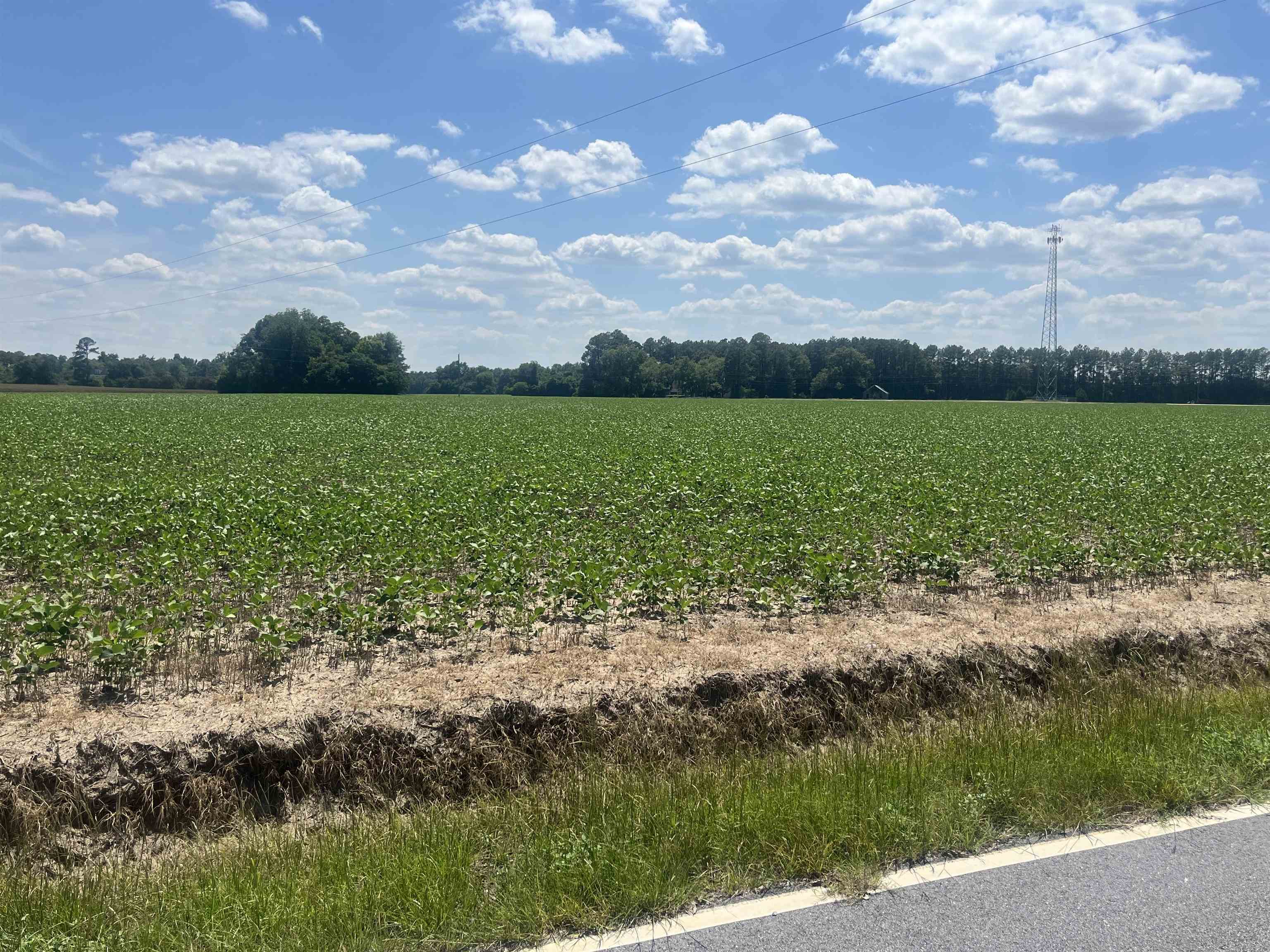 4177 Highway 38