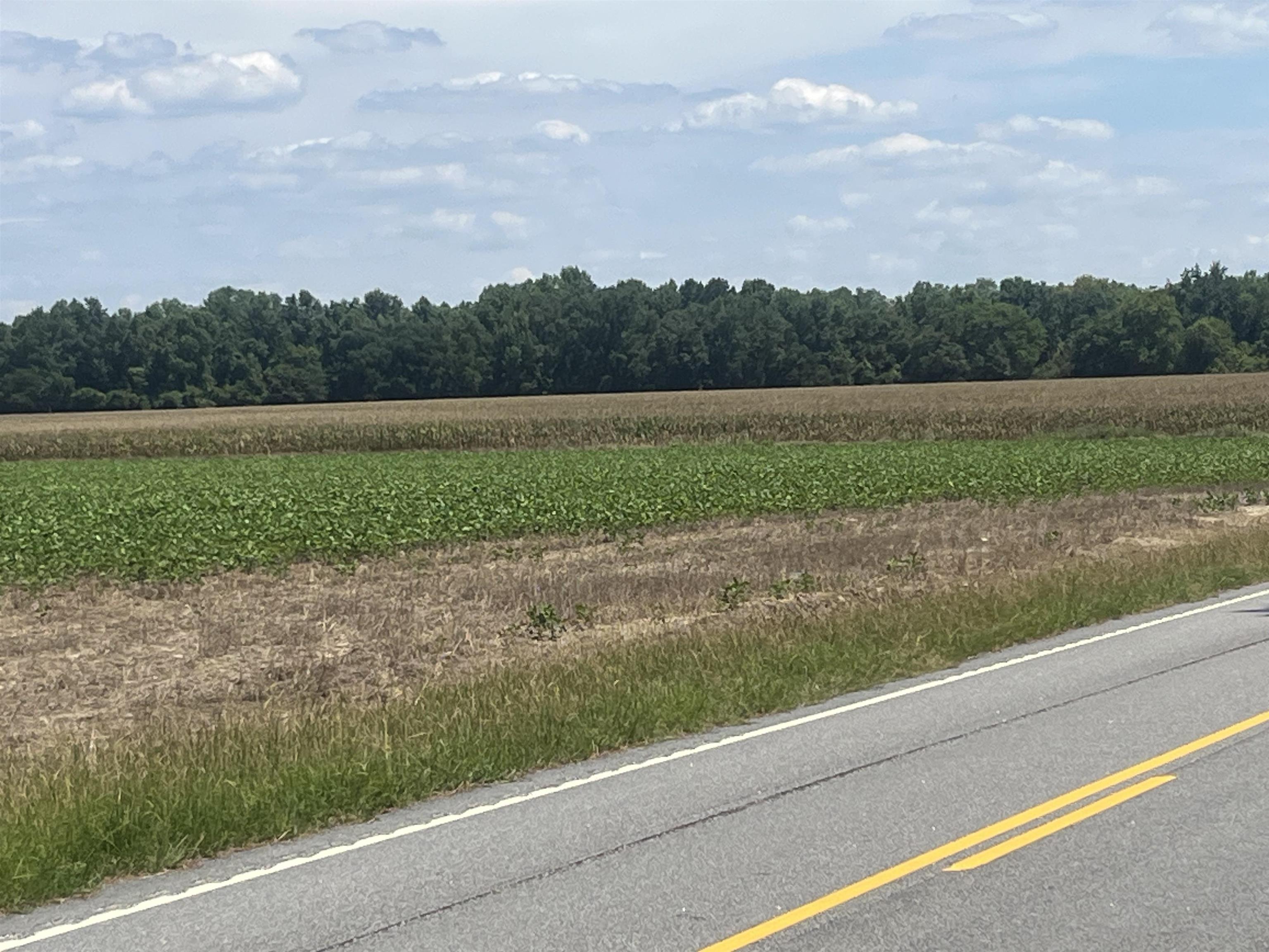 4177 Highway 38