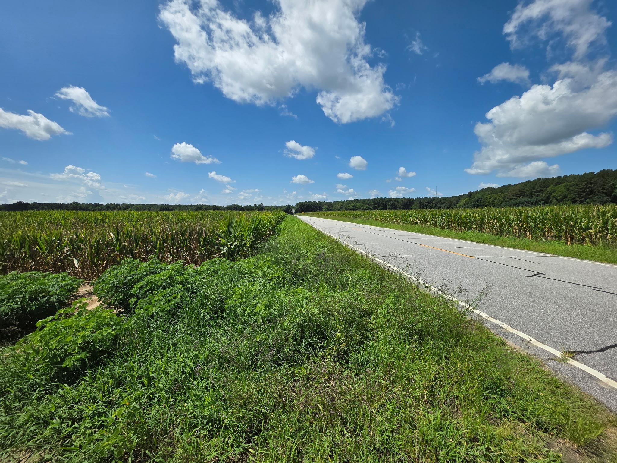 Dunbar Highway
