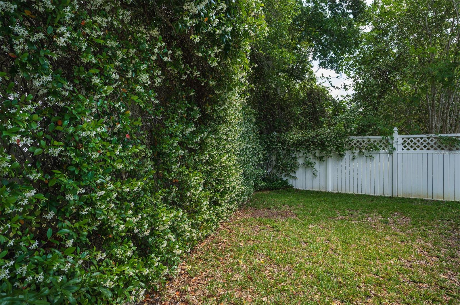 221 BAY ST