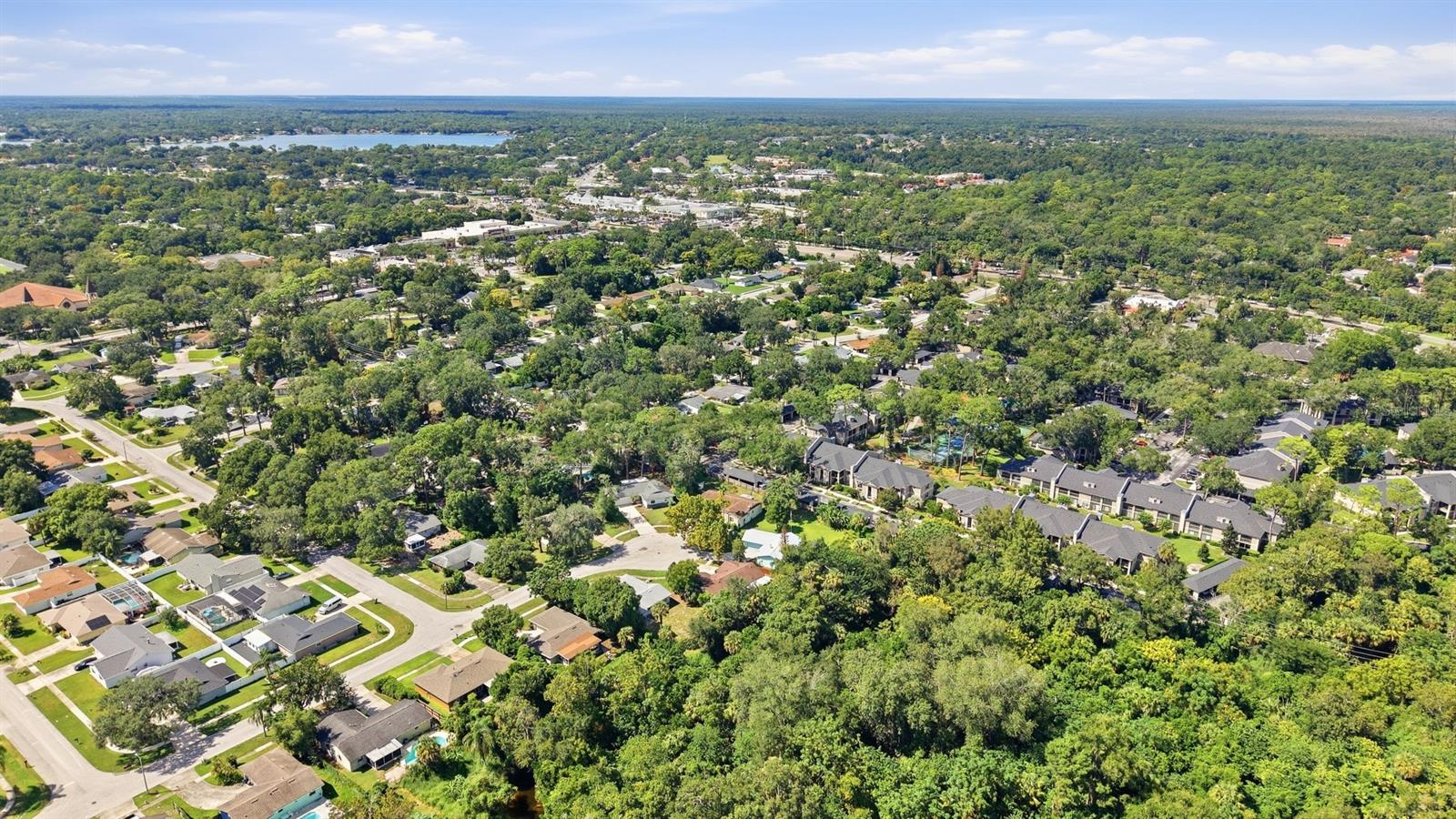 Aerial view of a leafy neighborhood with homes and a distant lake.