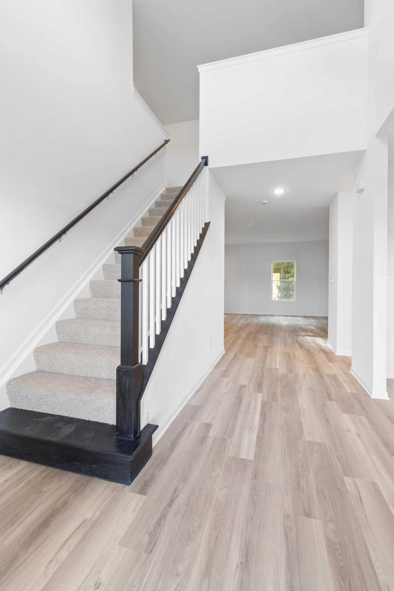 3114 Fawn Lane