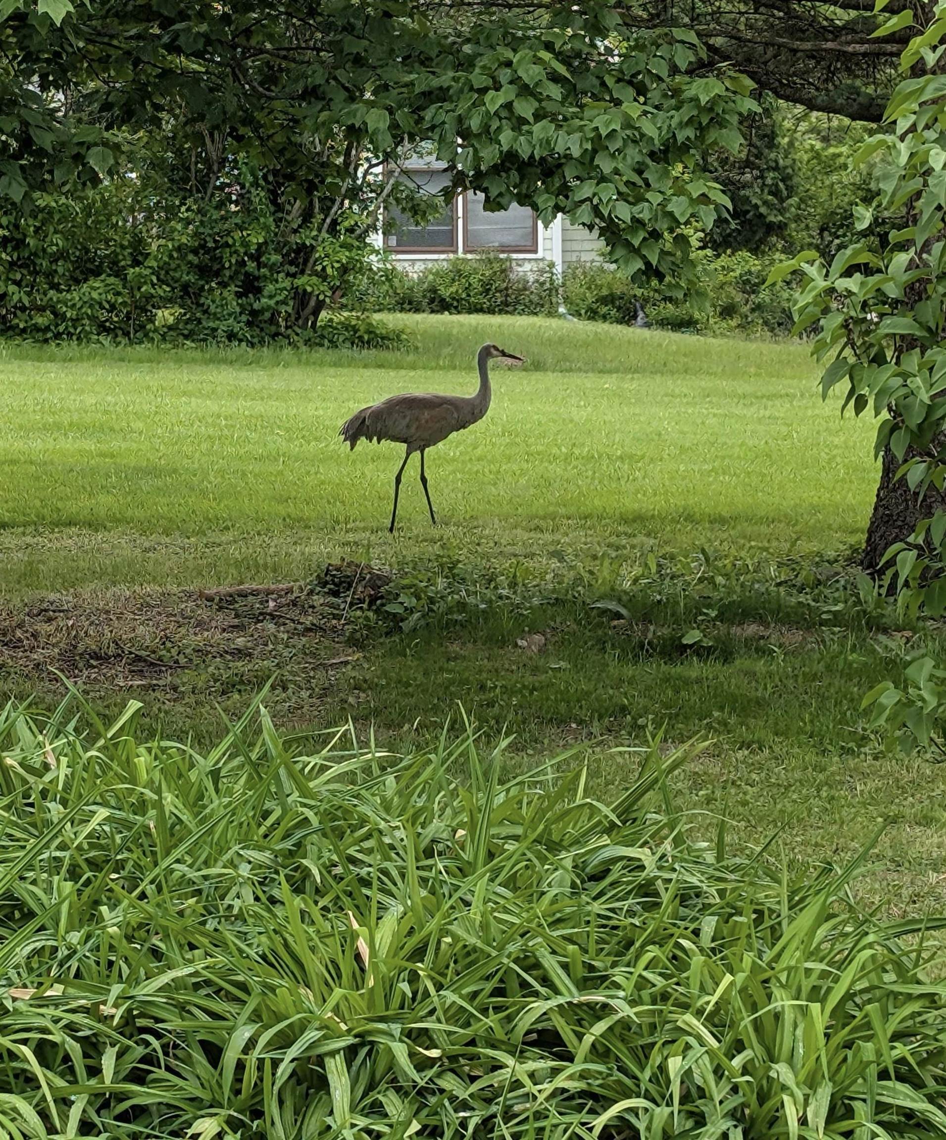 1230 N Westfield Road