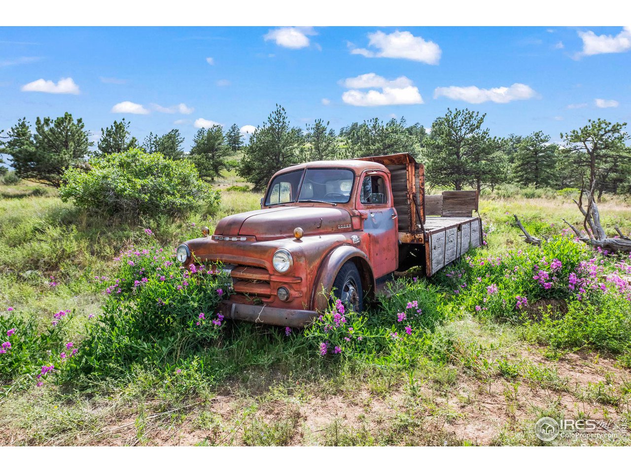 603 Indian Lookout Rd