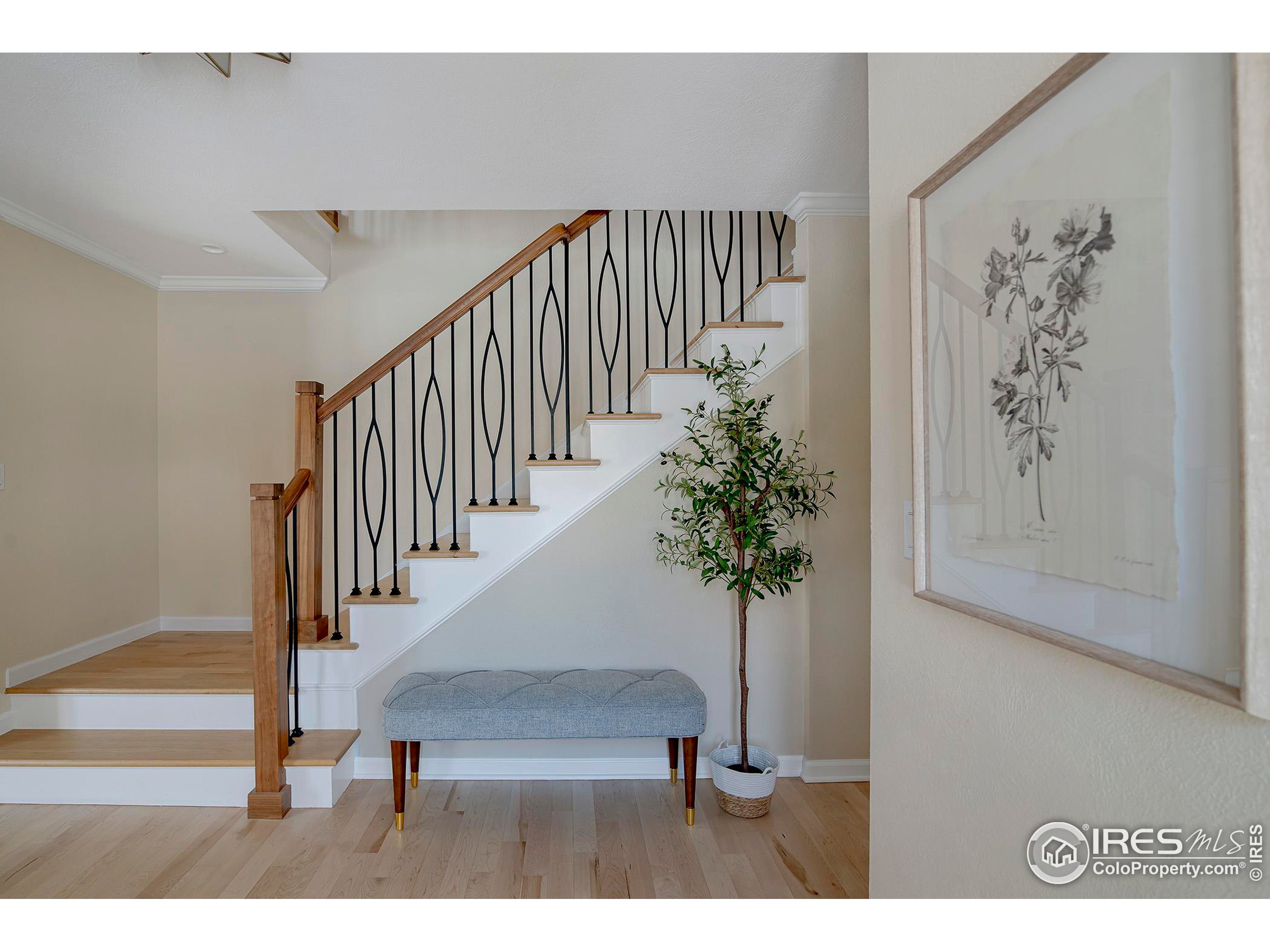 7034 Indian Peaks Trl