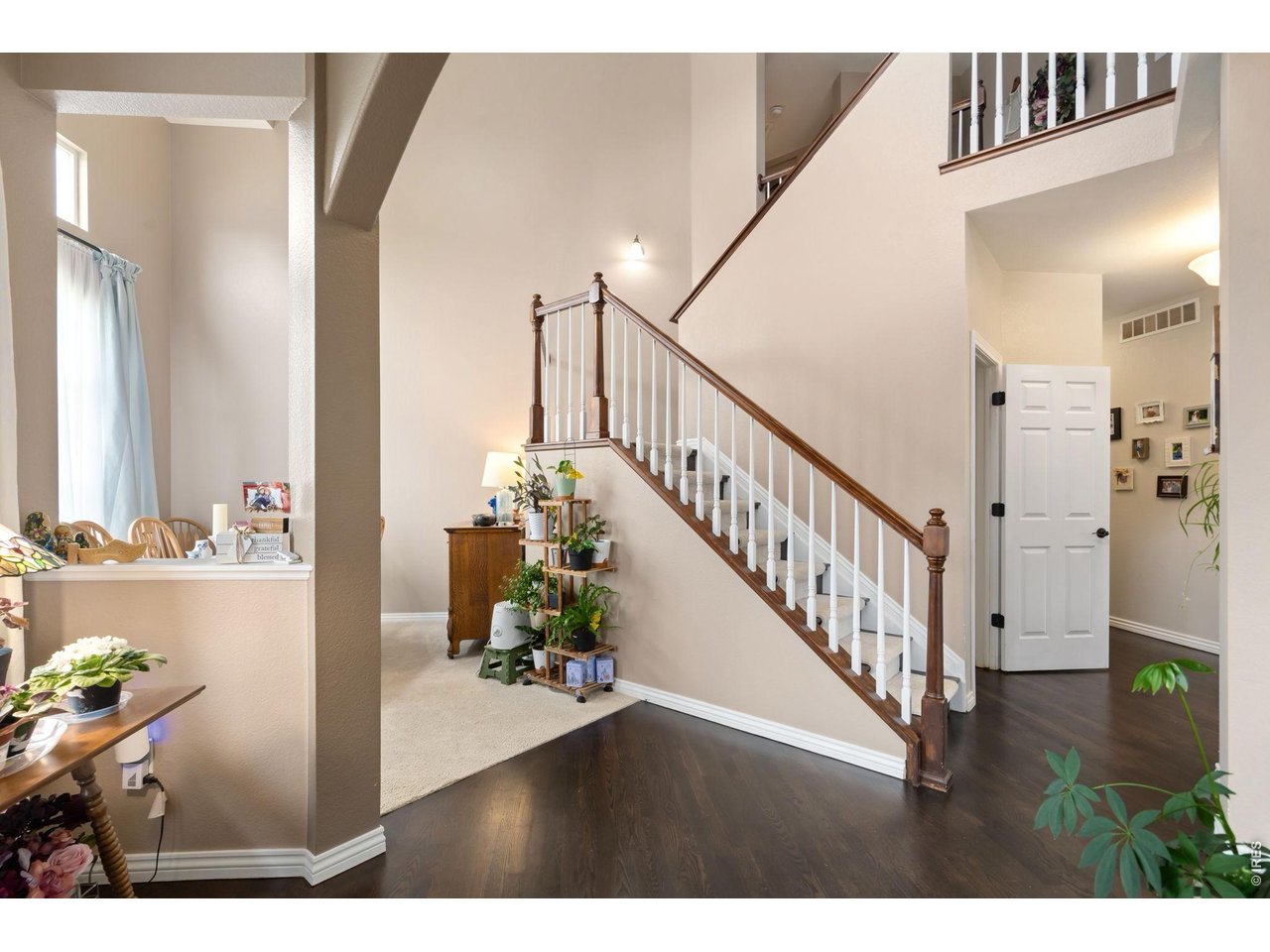 2193 Sand Dollar Cir