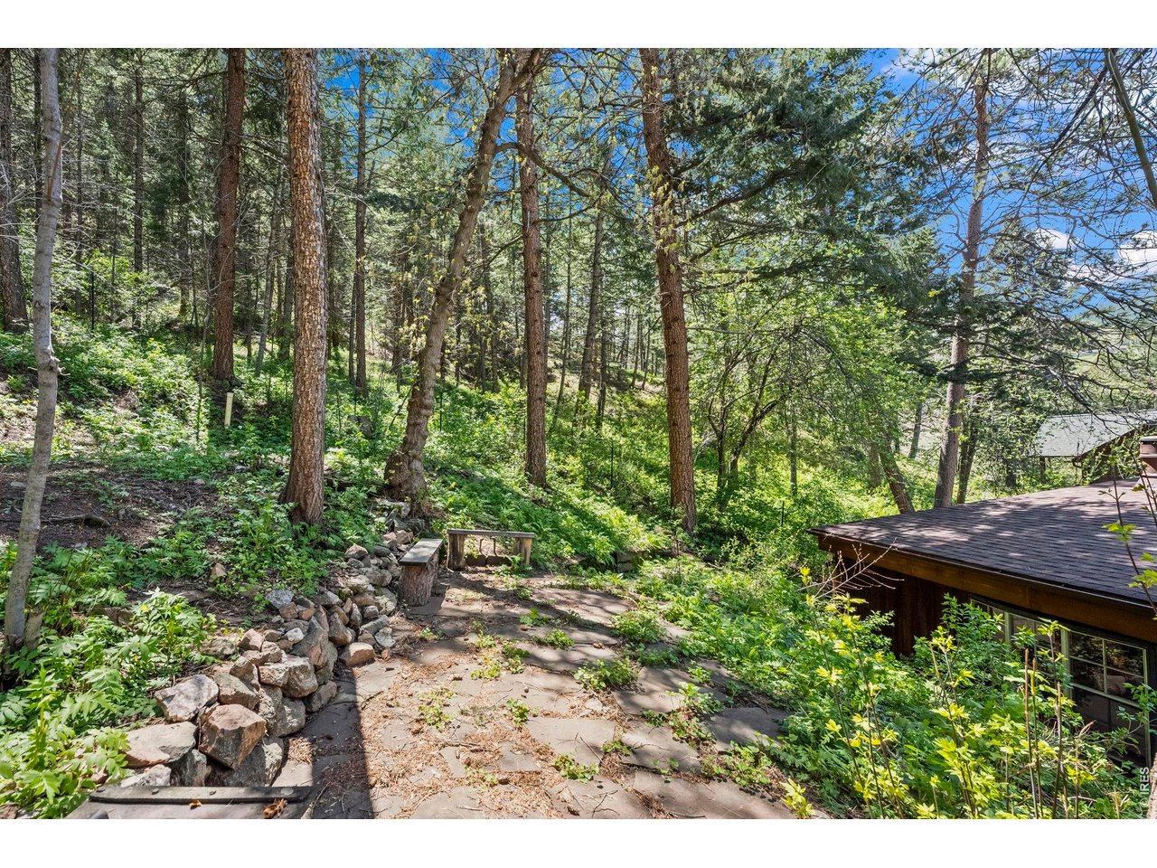 41 Silver Spruce